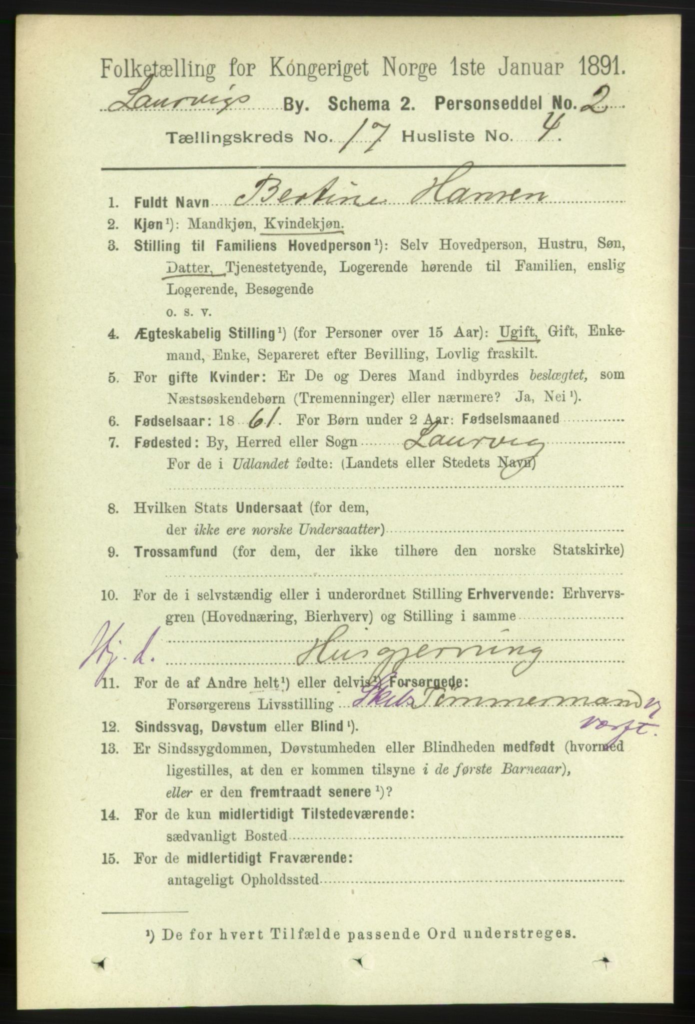 RA, 1891 census for 0707 Larvik, 1891, p. 12355