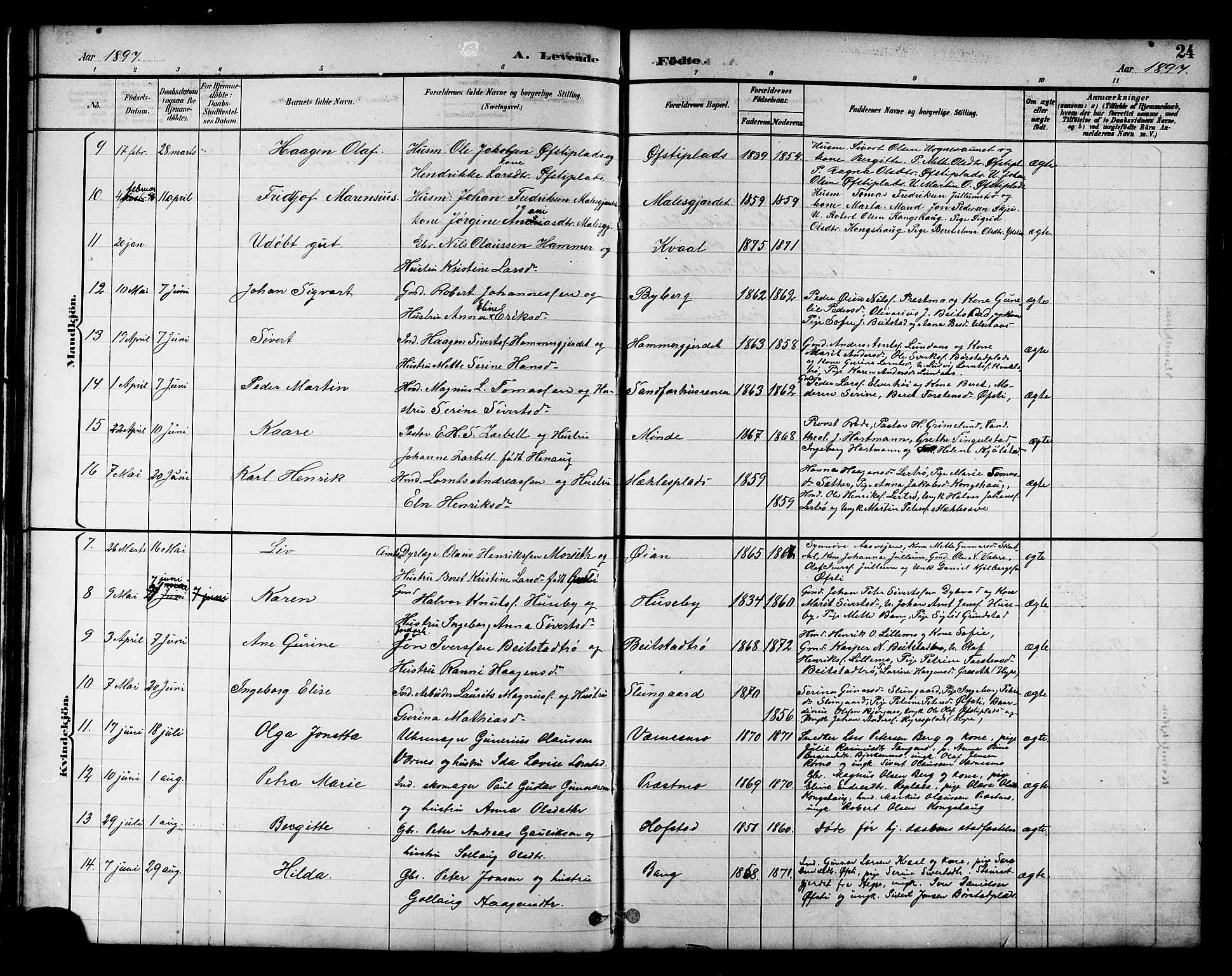 Ministerialprotokoller, klokkerbøker og fødselsregistre - Nord-Trøndelag, AV/SAT-A-1458/709/L0087: Parish register (copy) no. 709C01, 1892-1913, p. 24