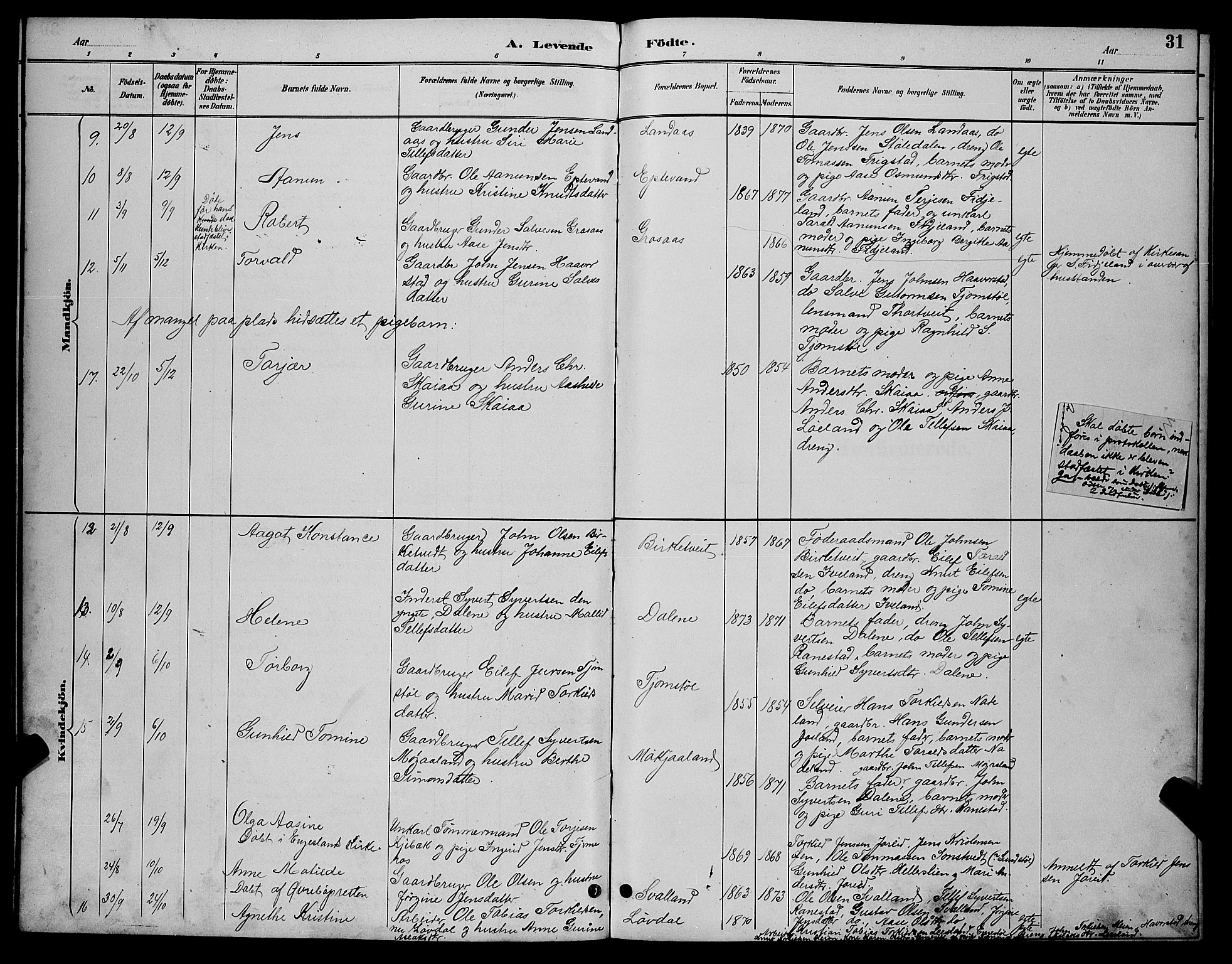 Evje sokneprestkontor, AV/SAK-1111-0008/F/Fb/Fbc/L0004: Parish register (copy) no. B 4, 1890-1900, p. 31