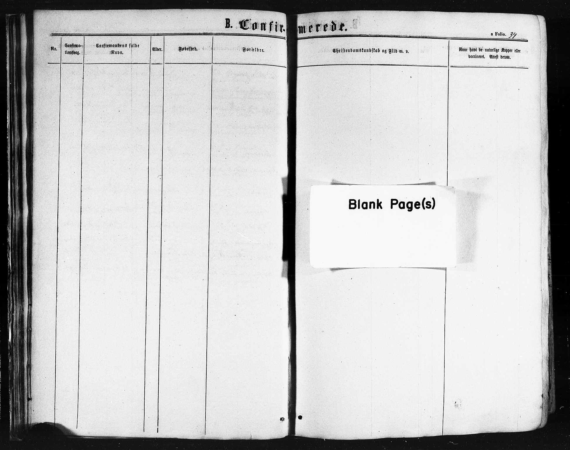 Ministerialprotokoller, klokkerbøker og fødselsregistre - Nordland, SAT/A-1459/841/L0607: Parish register (official) no. 841A11 /1, 1863-1877, p. 34