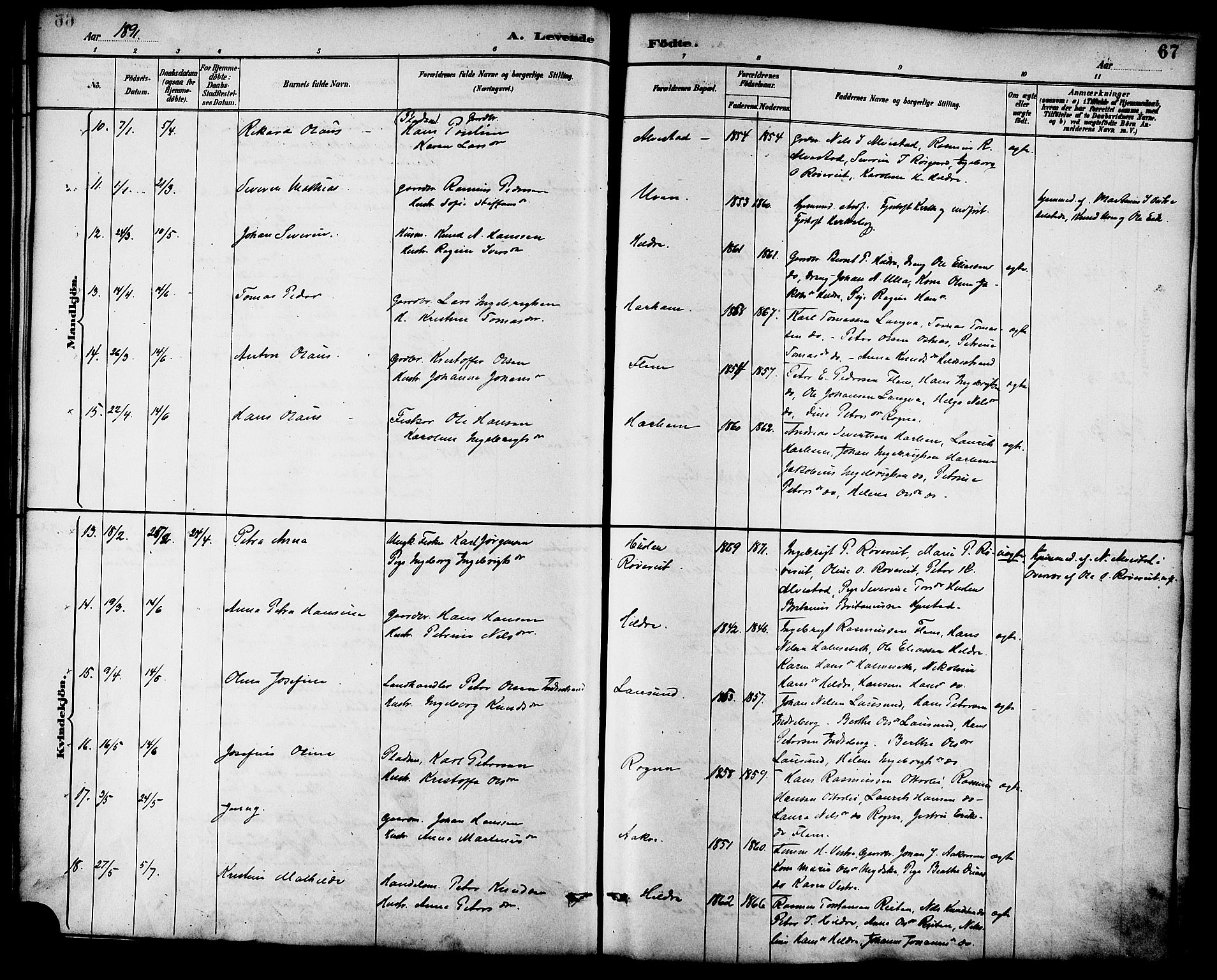 Ministerialprotokoller, klokkerbøker og fødselsregistre - Møre og Romsdal, AV/SAT-A-1454/536/L0501: Parish register (official) no. 536A10, 1884-1896, p. 67