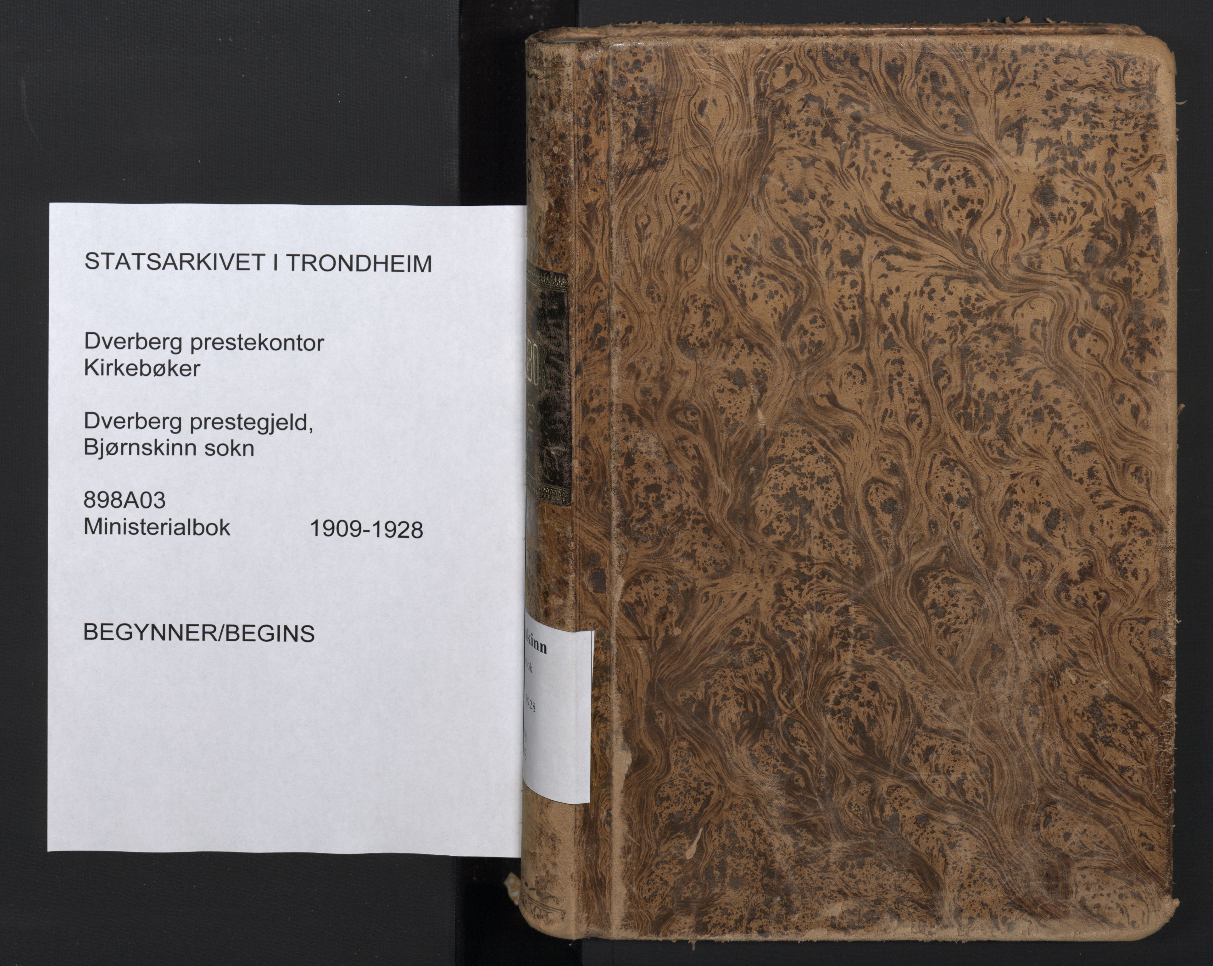 Ministerialprotokoller, klokkerbøker og fødselsregistre - Nordland, AV/SAT-A-1459/898/L1423: Parish register (official) no. 898A03, 1909-1928