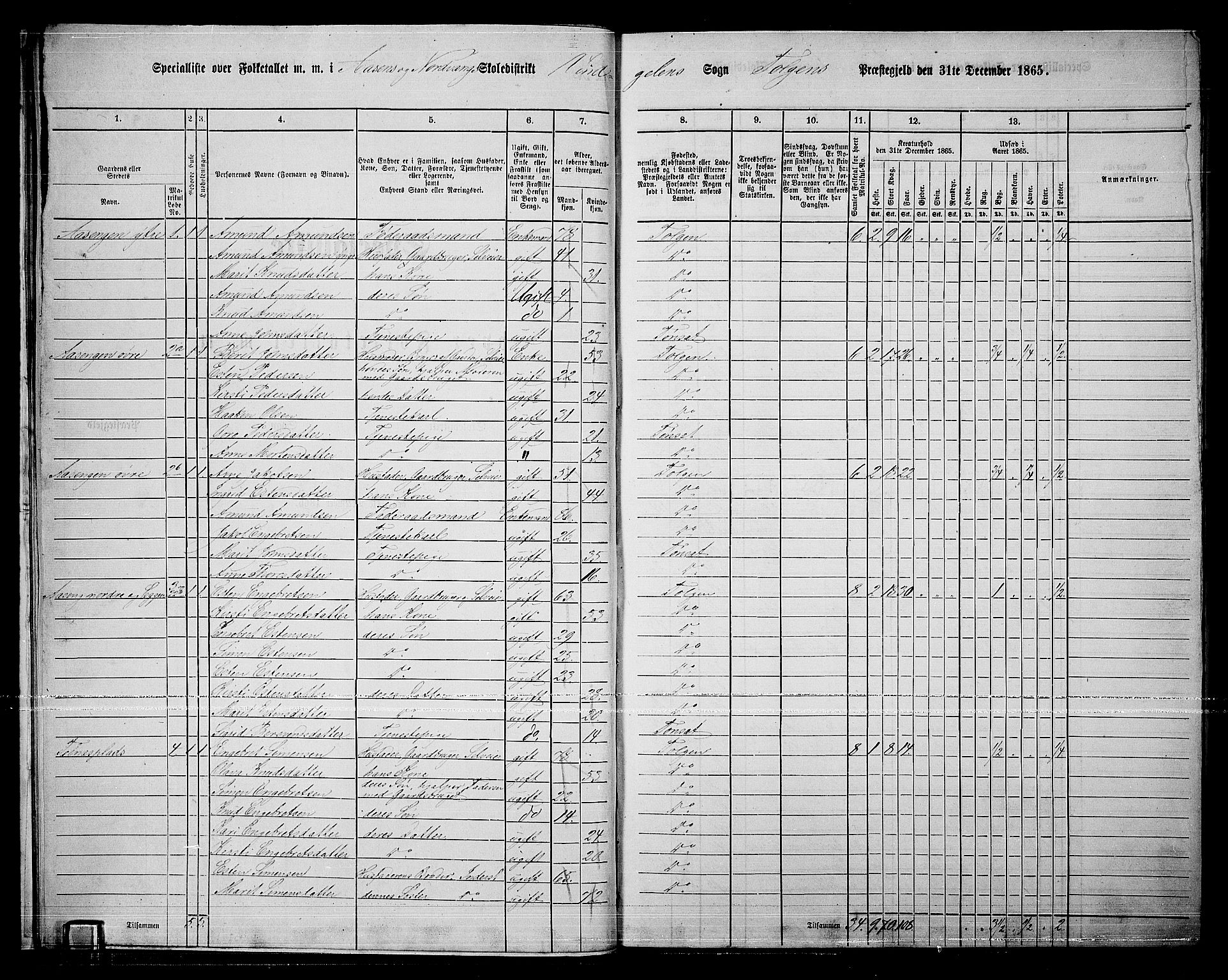 RA, 1865 census for Tolga, 1865, p. 16