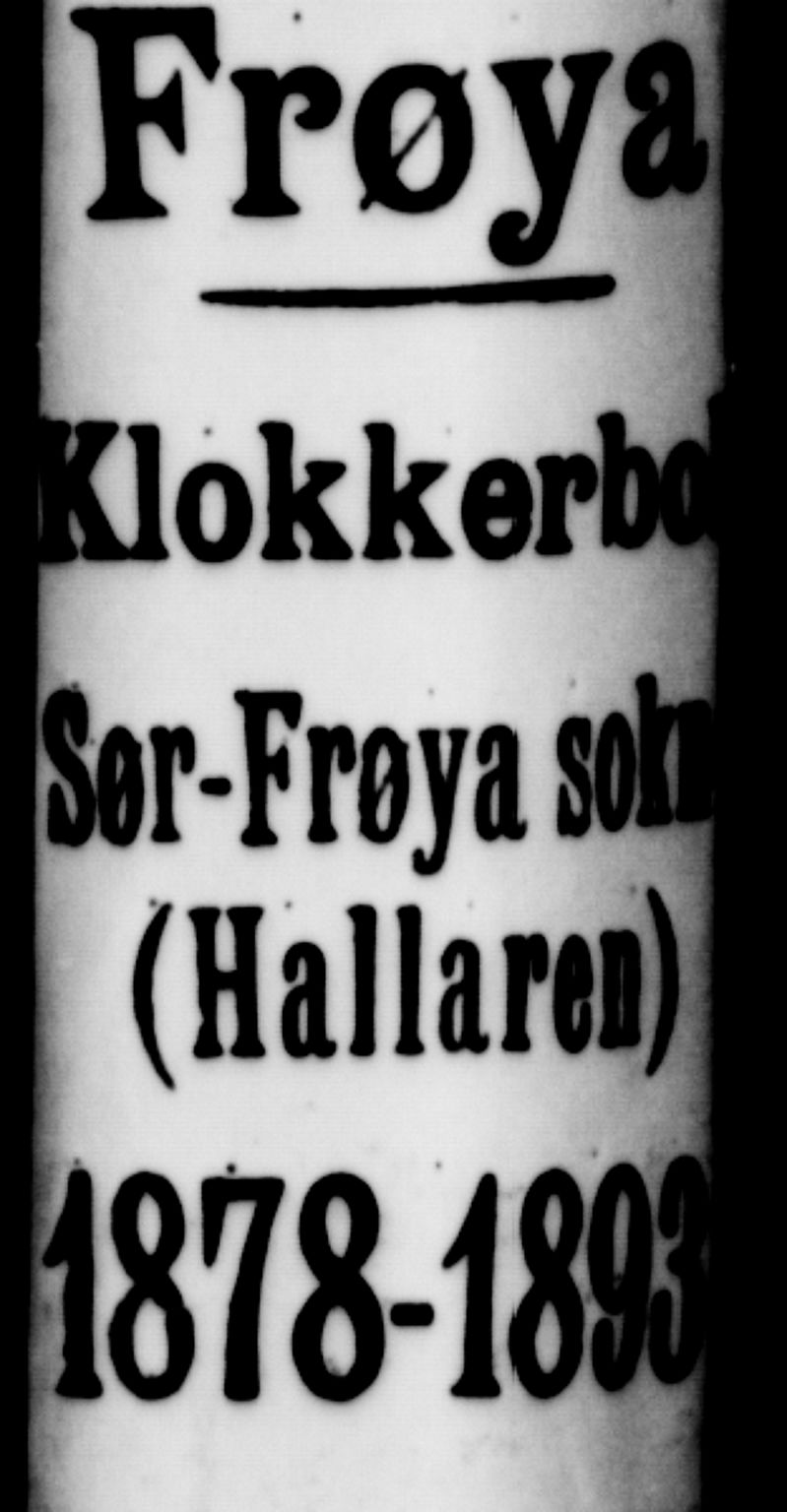 Ministerialprotokoller, klokkerbøker og fødselsregistre - Sør-Trøndelag, SAT/A-1456/641/L0597: Parish register (copy) no. 641C01, 1878-1893