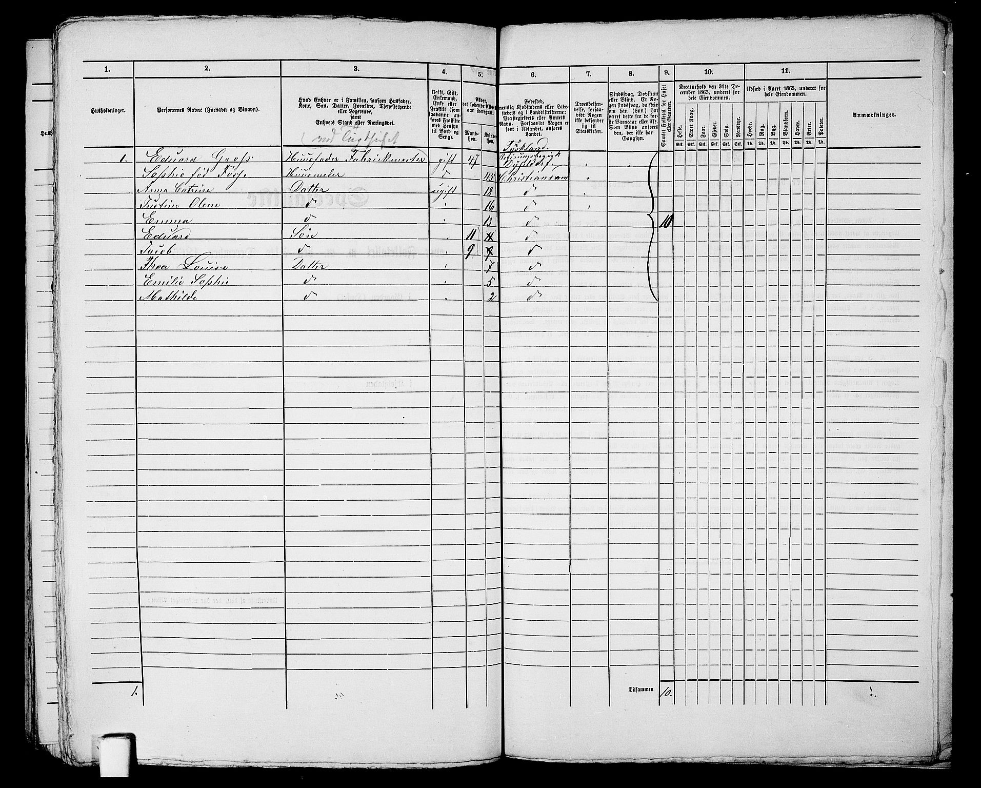 RA, 1865 census for Kristiansand, 1865, p. 507