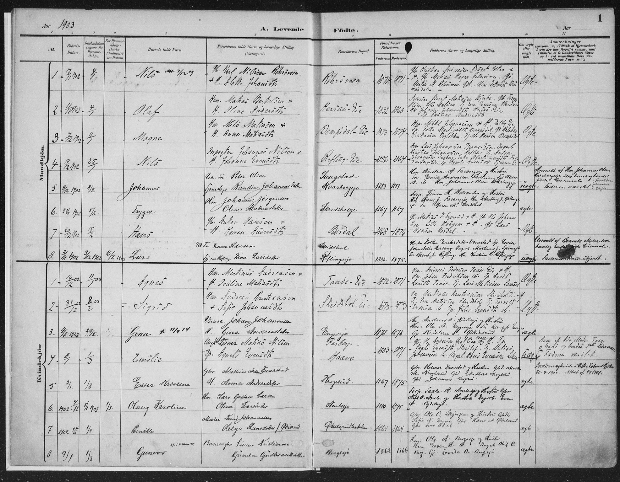 Ringsaker prestekontor, AV/SAH-PREST-014/K/Ka/L0018: Parish register (official) no. 18, 1903-1912, p. 1