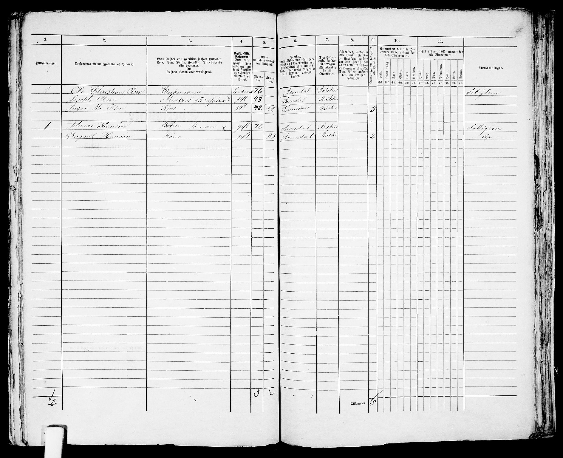 RA, 1865 census for Arendal, 1865, p. 611