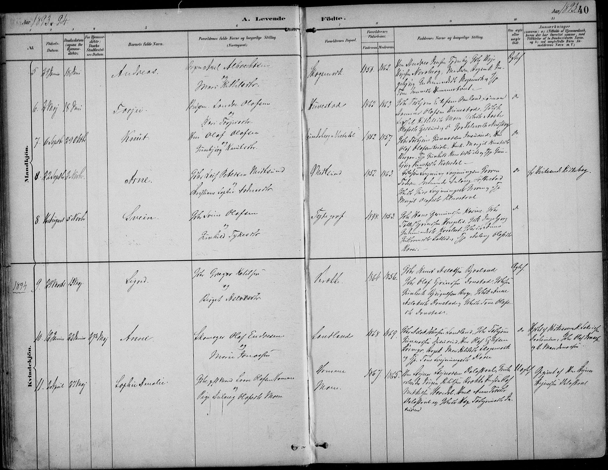 Kviteseid kirkebøker, AV/SAKO-A-276/F/Fb/L0002: Parish register (official) no. II 2, 1882-1916, p. 40