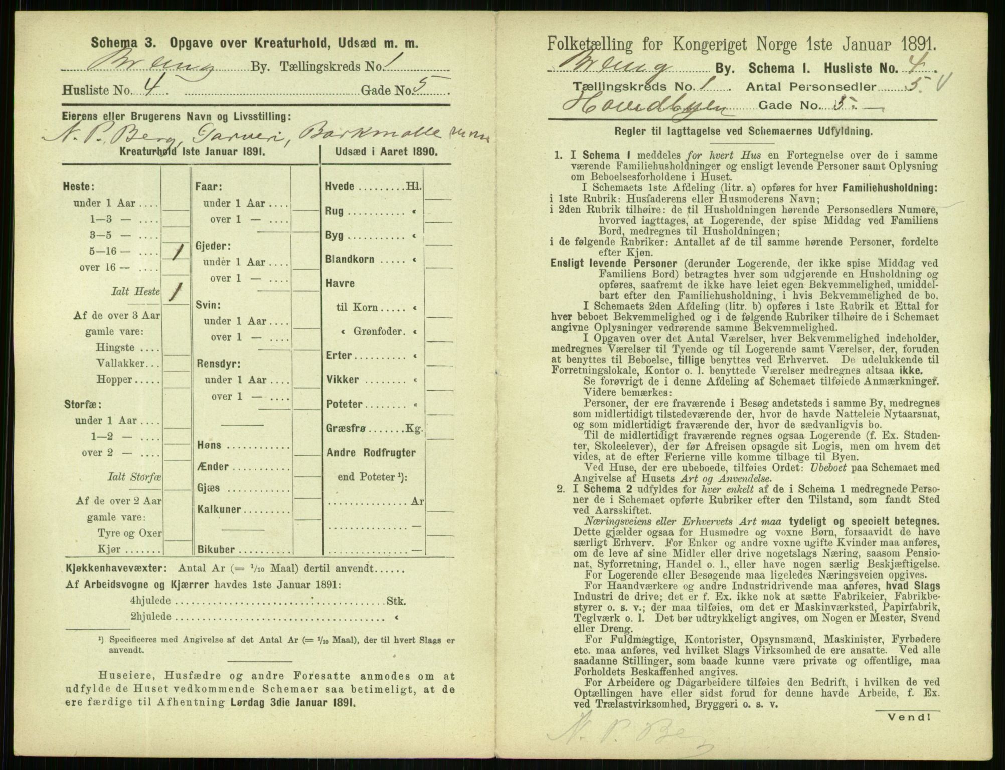 RA, 1891 census for 0804 Brevik, 1891, p. 25