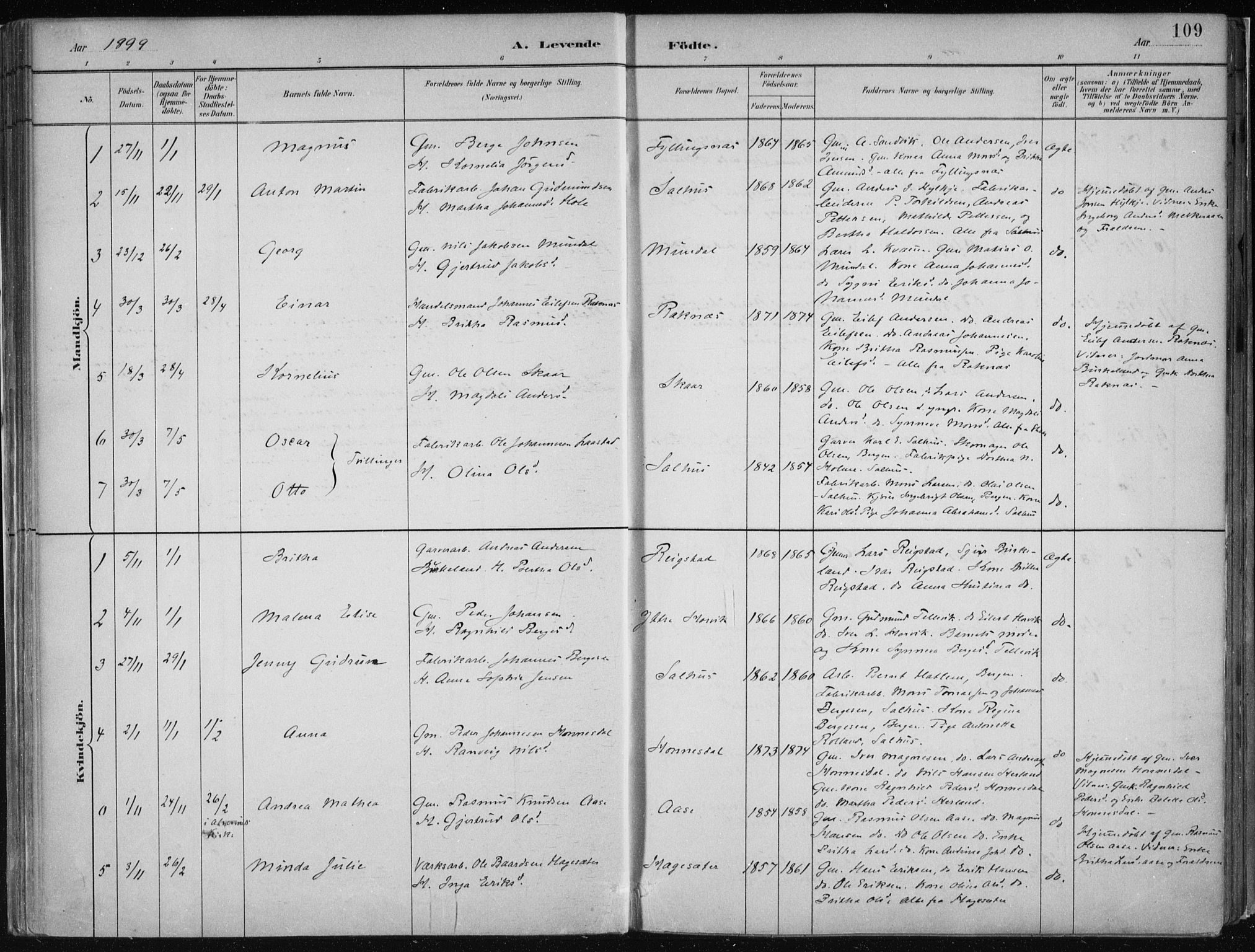 Hamre sokneprestembete, SAB/A-75501/H/Ha/Haa/Haab/L0001: Parish register (official) no. B  1, 1882-1905, p. 109