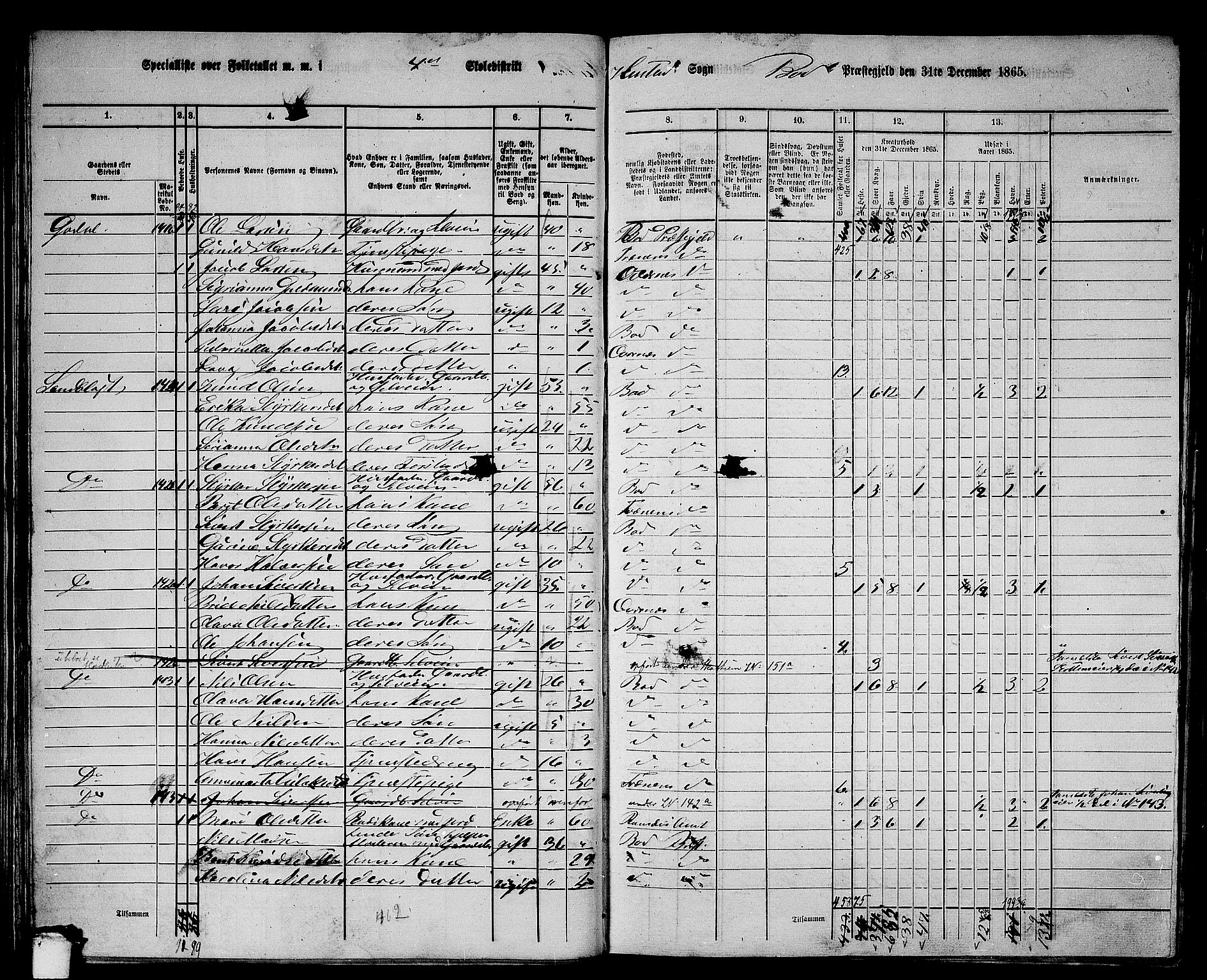 RA, 1865 census for Bud, 1865, p. 28