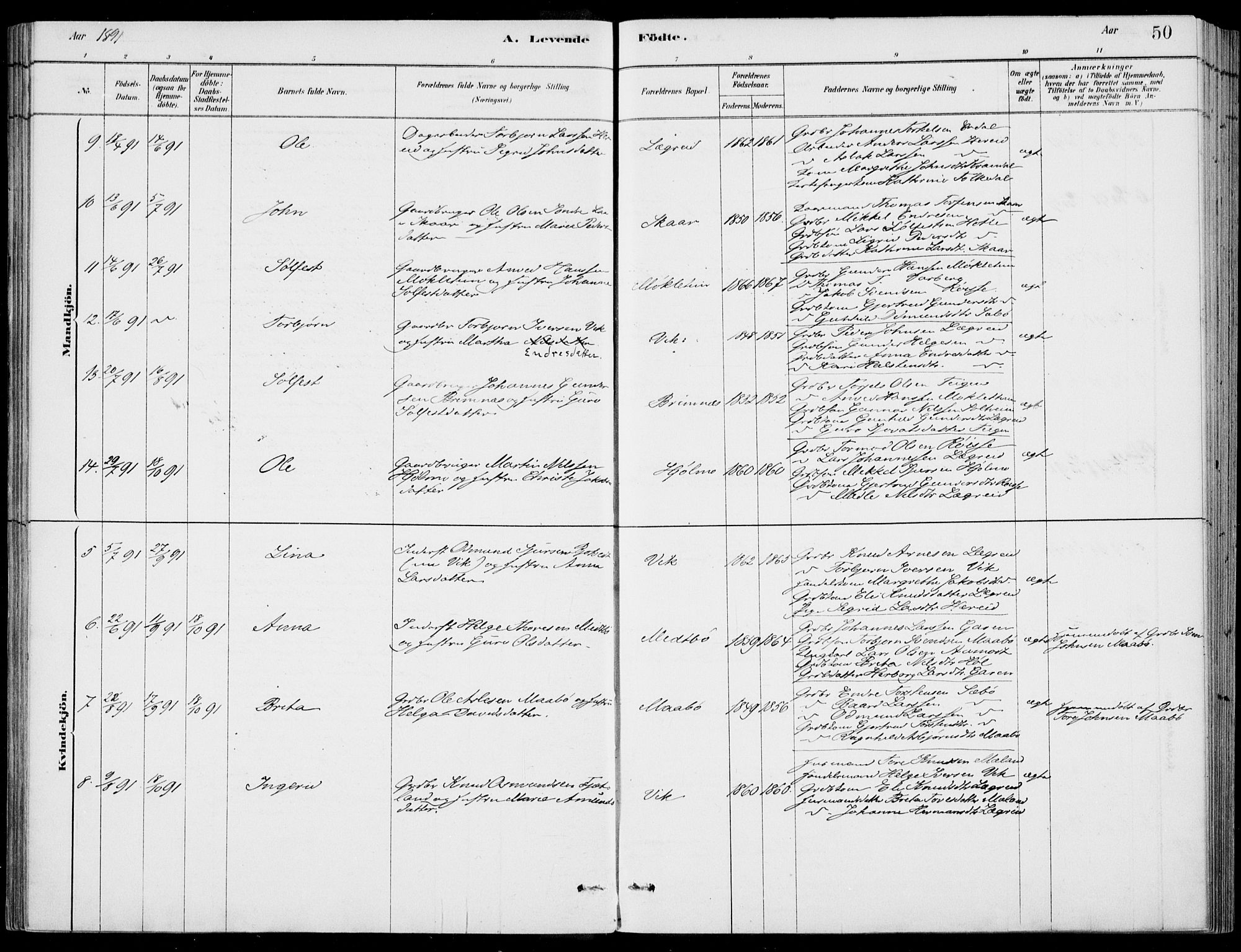 Ulvik sokneprestembete, AV/SAB-A-78801/H/Haa: Parish register (official) no. D  1, 1878-1903, p. 50