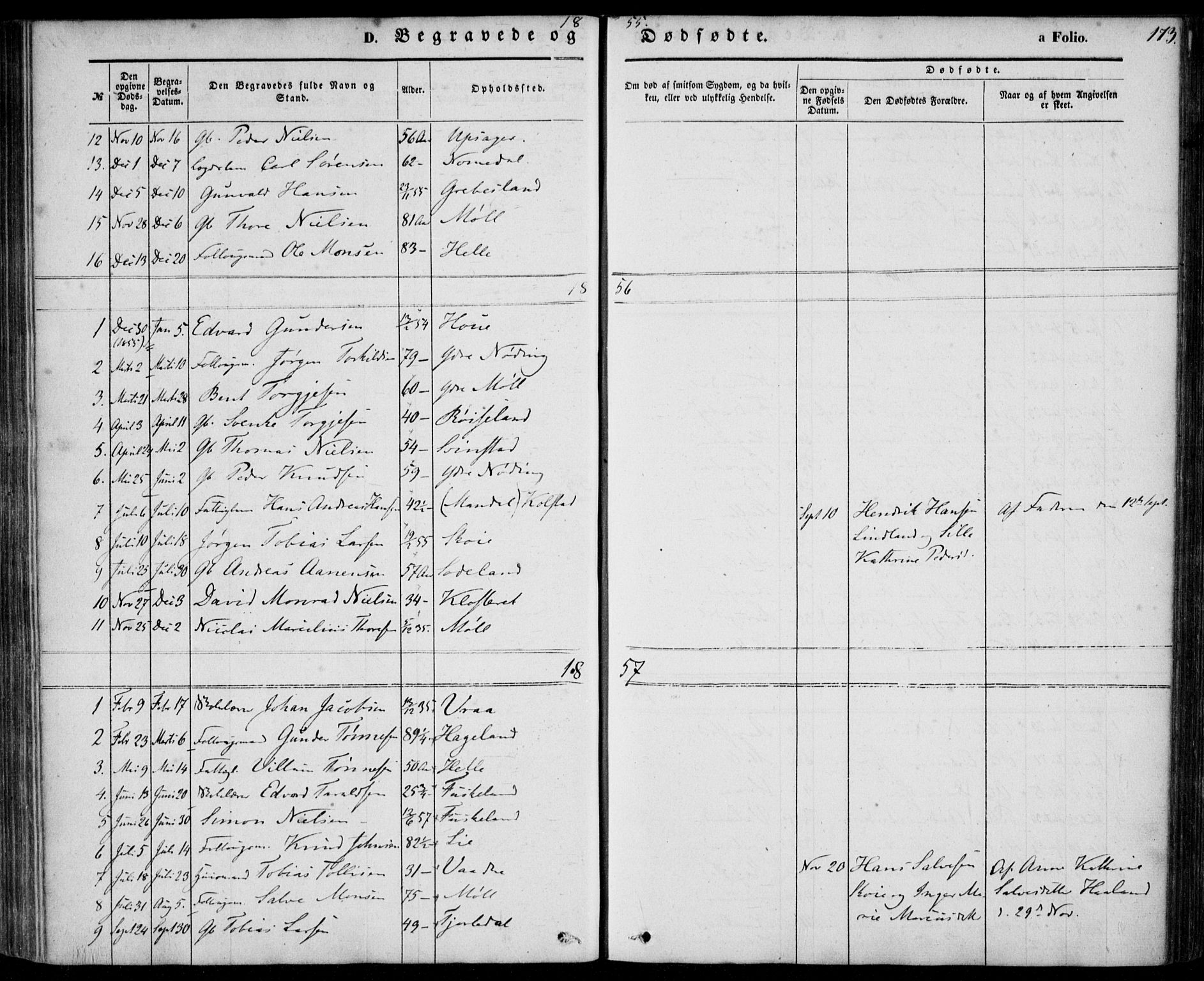 Holum sokneprestkontor, AV/SAK-1111-0022/F/Fa/Faa/L0005: Parish register (official) no. A 5, 1850-1864, p. 173