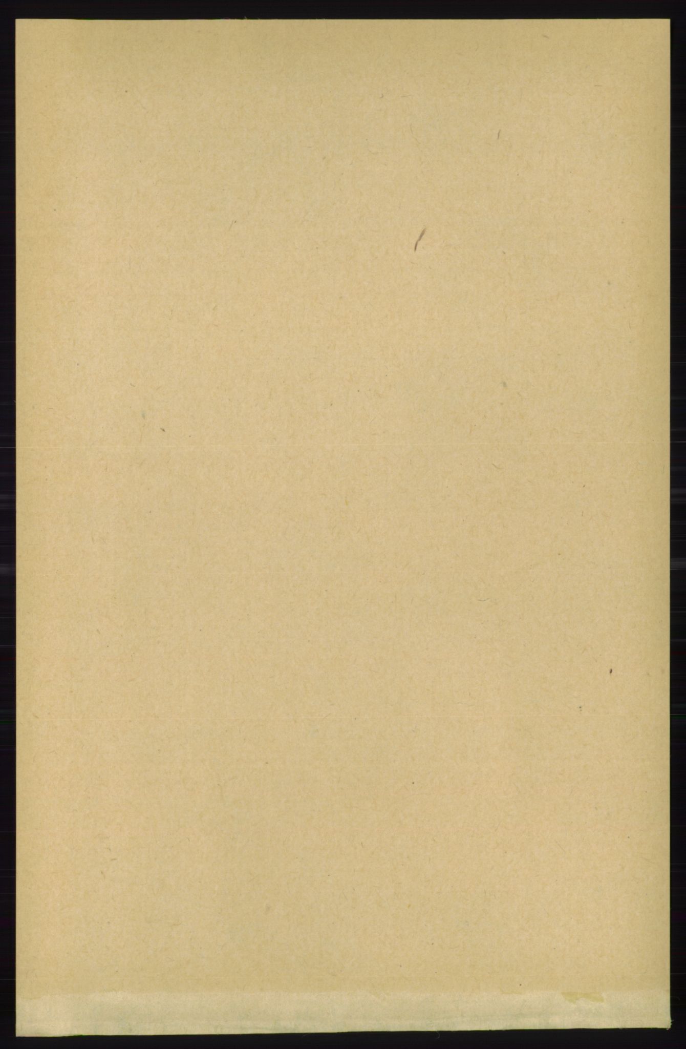 RA, 1891 census for 1152 Torvastad, 1891, p. 513