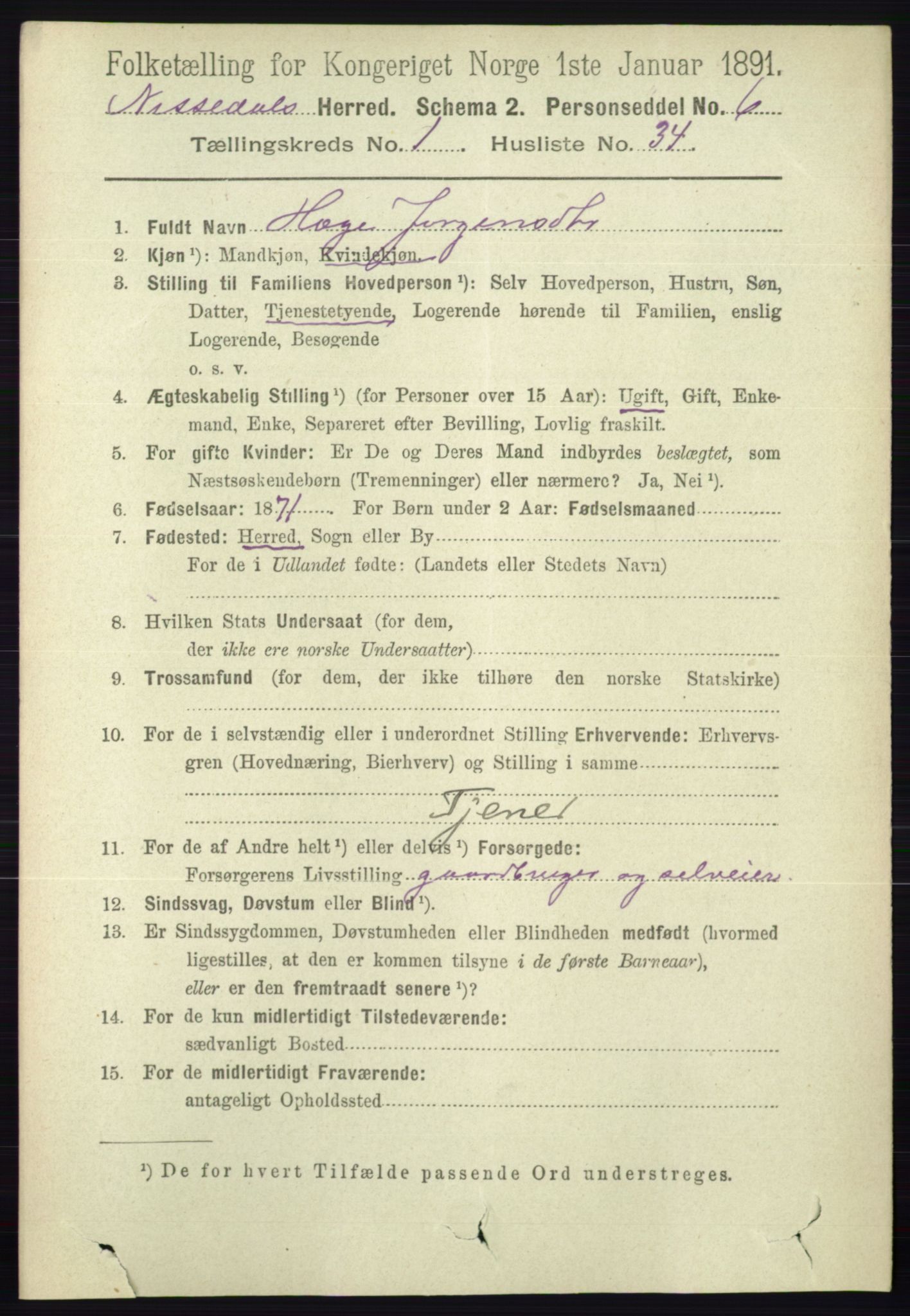 RA, 1891 census for 0830 Nissedal, 1891, p. 270