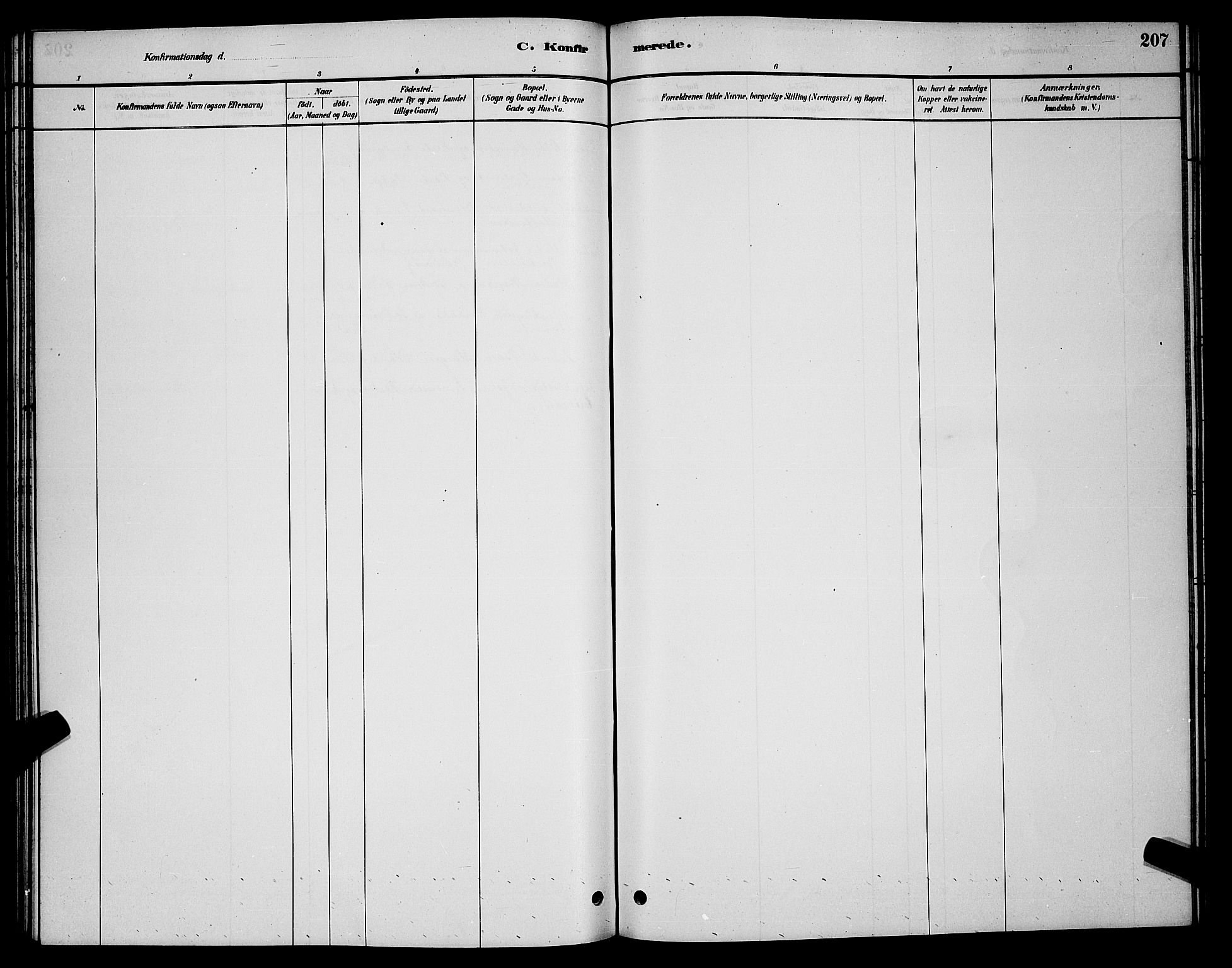 Vadsø sokneprestkontor, SATØ/S-1325/H/Hb/L0003klokker: Parish register (copy) no. 3, 1881-1901, p. 207