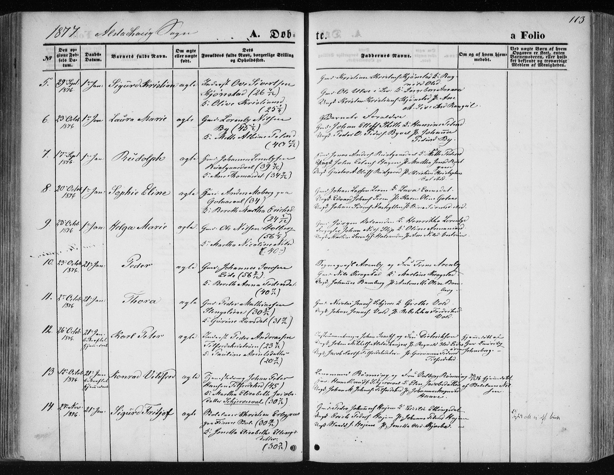 Ministerialprotokoller, klokkerbøker og fødselsregistre - Nord-Trøndelag, SAT/A-1458/717/L0157: Parish register (official) no. 717A08 /1, 1863-1877, p. 113