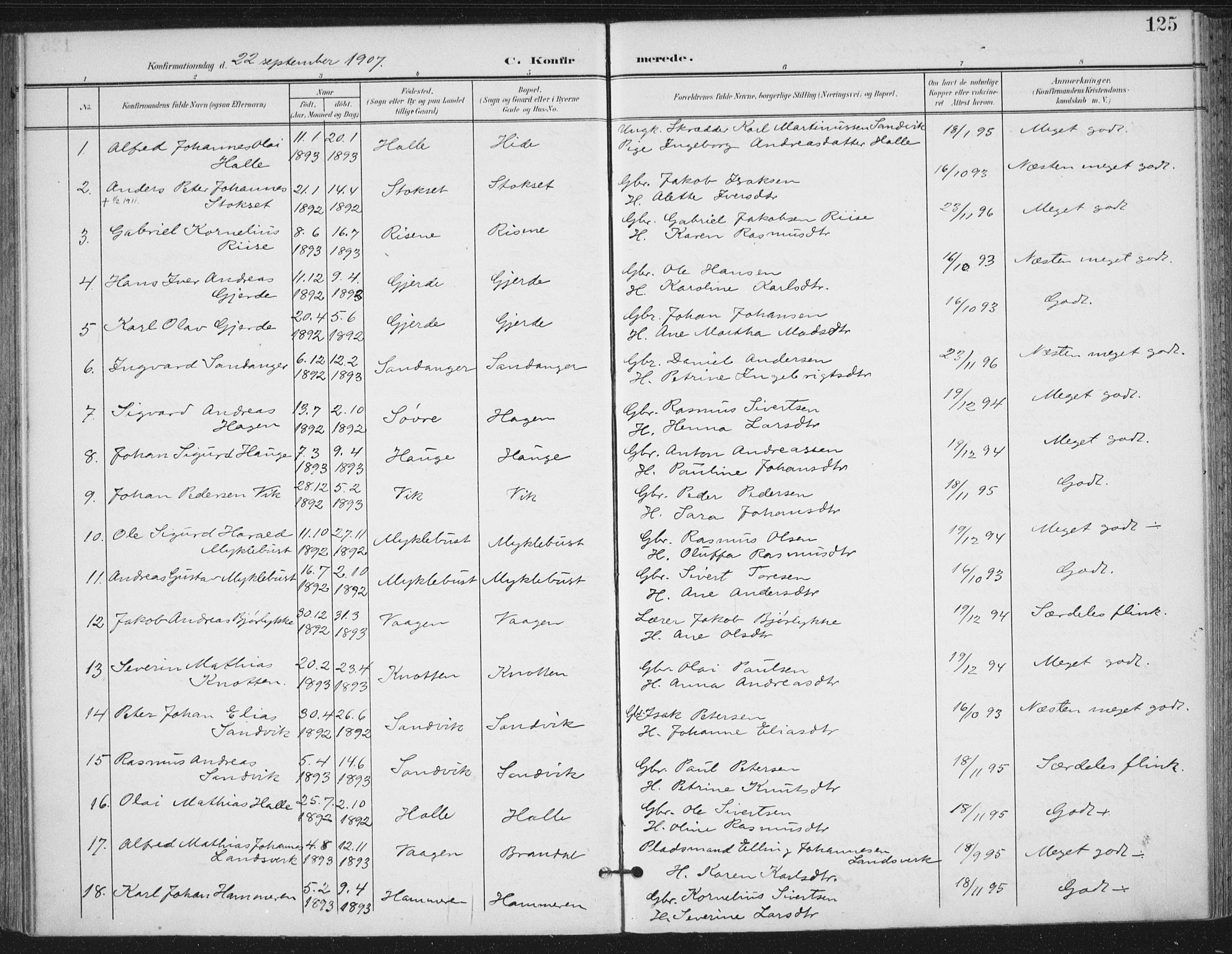 Ministerialprotokoller, klokkerbøker og fødselsregistre - Møre og Romsdal, AV/SAT-A-1454/503/L0038: Parish register (official) no. 503A06, 1901-1917, p. 125