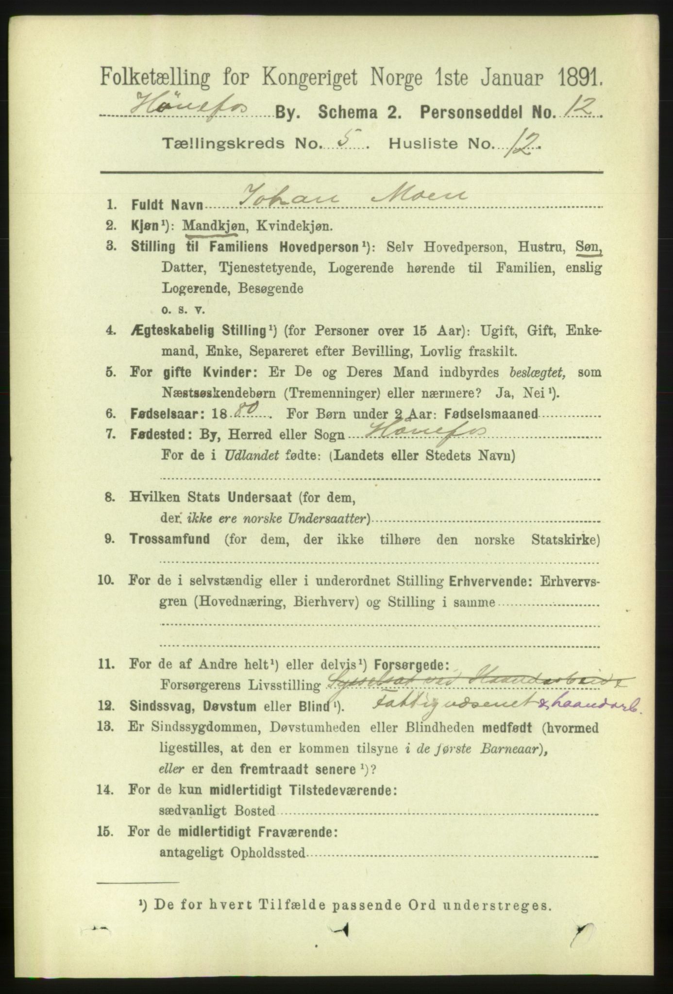 RA, 1891 census for 0601 Hønefoss, 1891, p. 1007