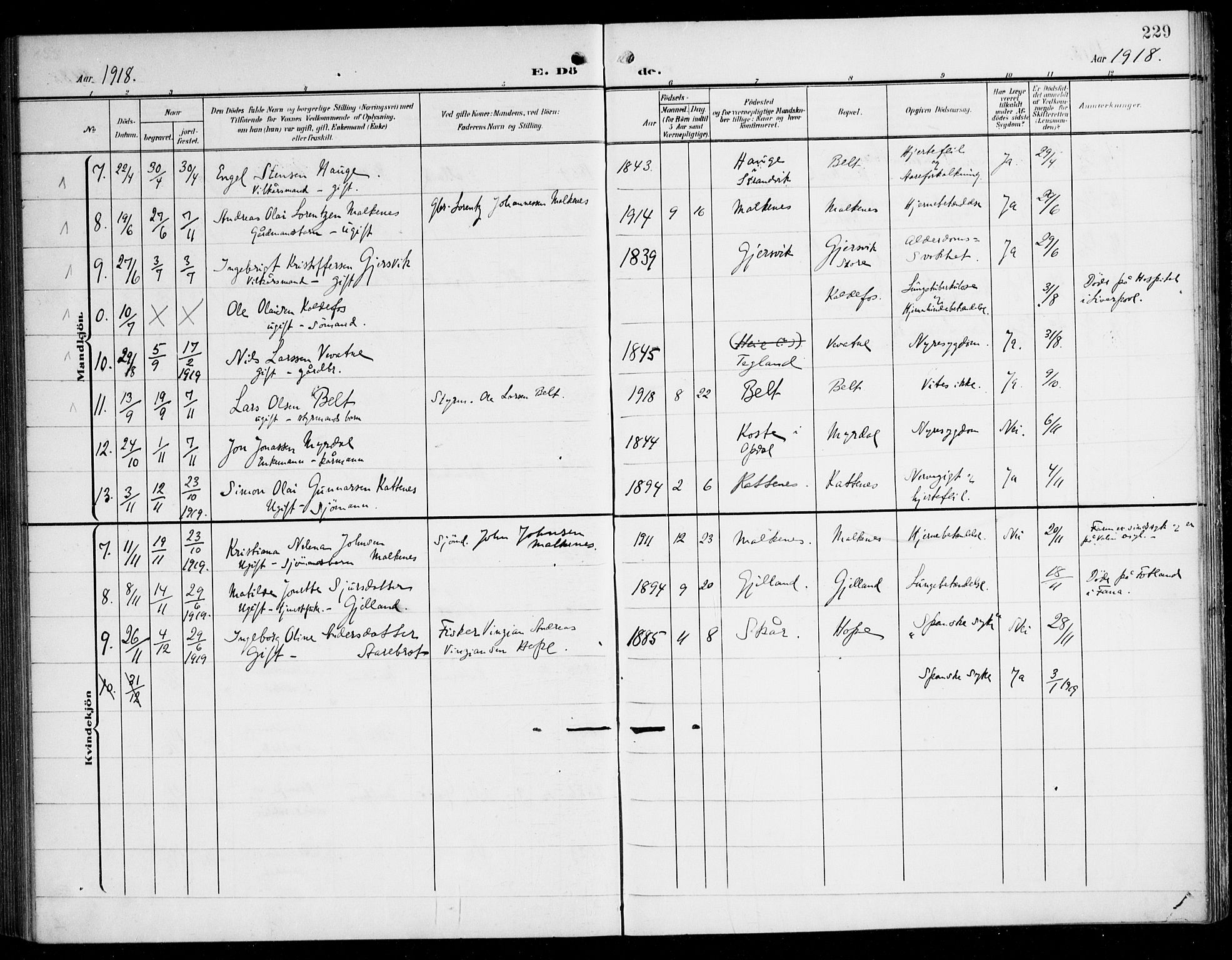 Tysnes sokneprestembete, SAB/A-78601/H/Haa: Parish register (official) no. B 2, 1907-1925, p. 229