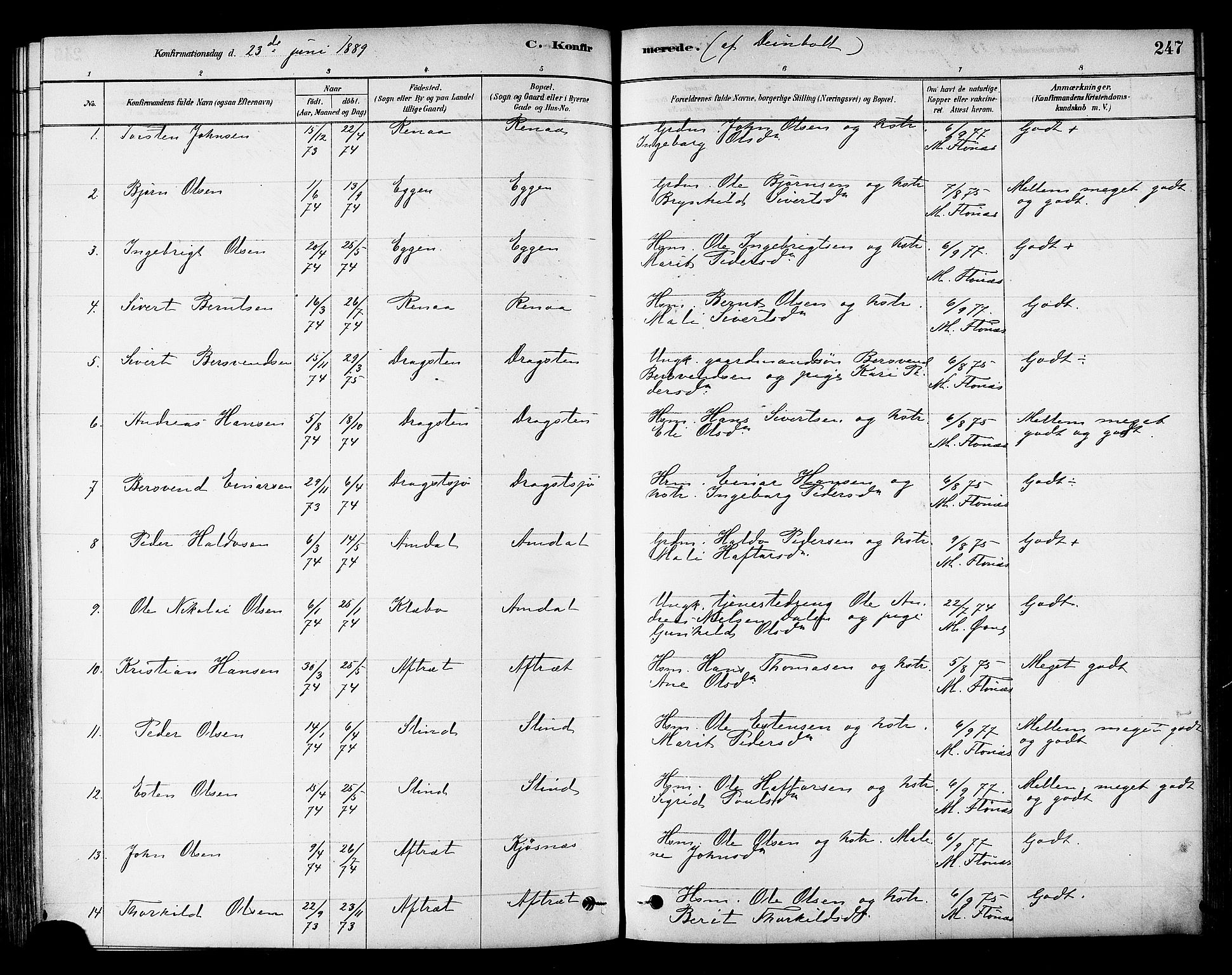 Ministerialprotokoller, klokkerbøker og fødselsregistre - Sør-Trøndelag, SAT/A-1456/695/L1148: Parish register (official) no. 695A08, 1878-1891, p. 247