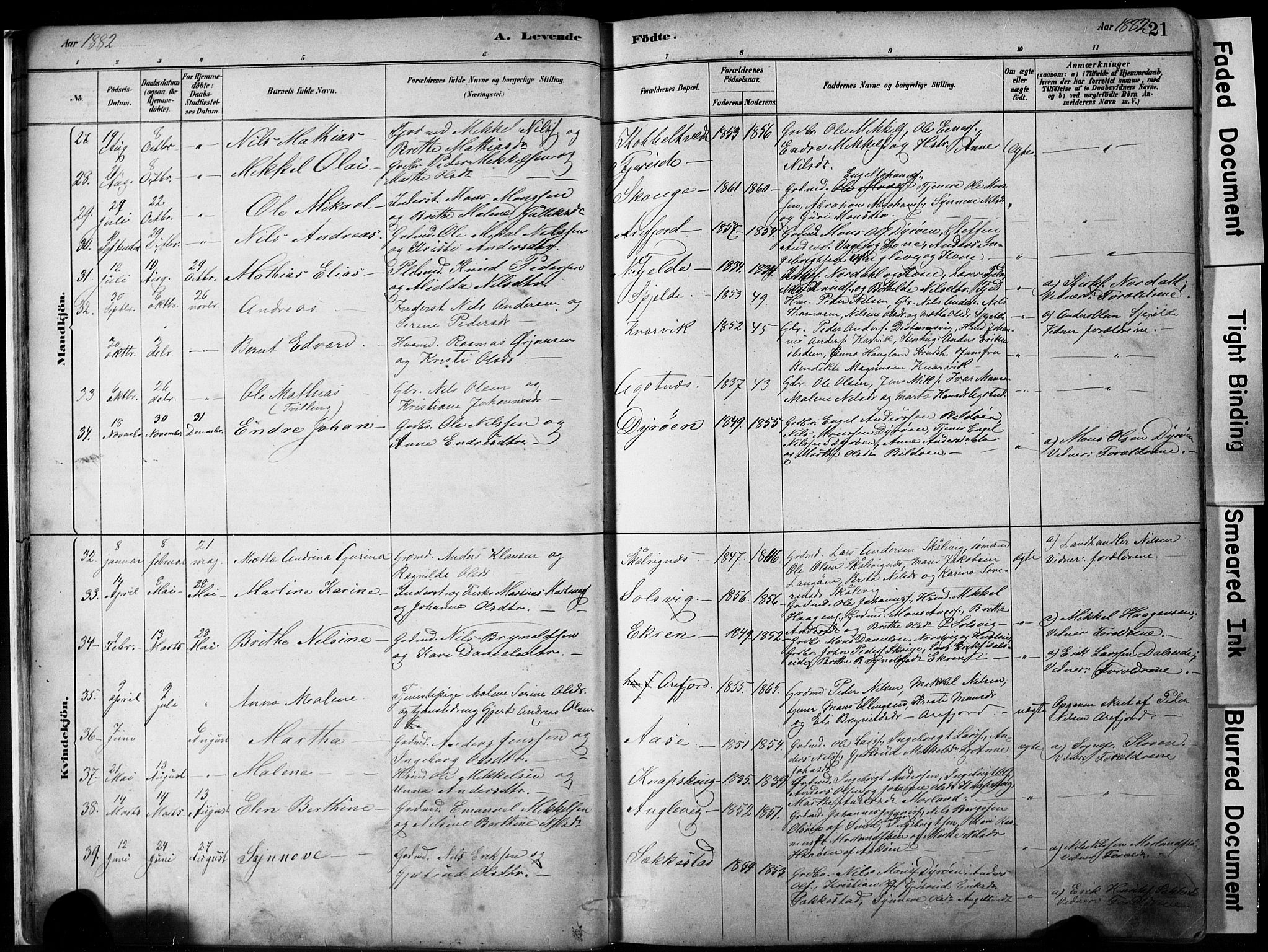 Fjell sokneprestembete, SAB/A-75301/H/Hab: Parish register (copy) no. A 4, 1880-1899, p. 21