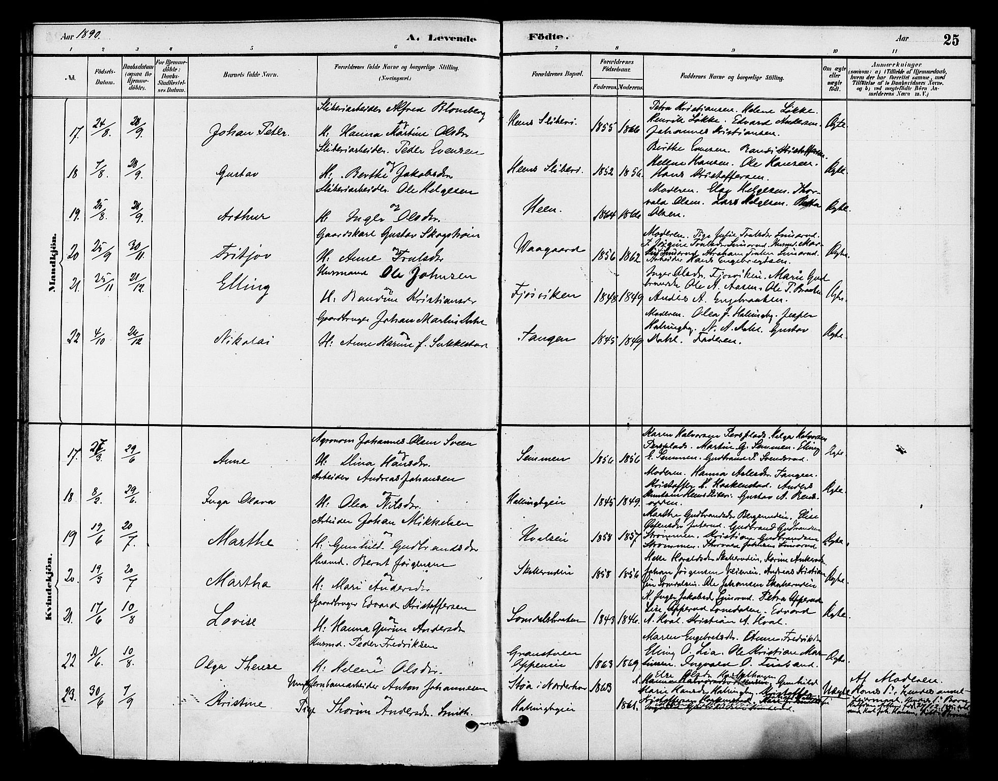 Ådal kirkebøker, SAKO/A-248/F/Fb/L0001: Parish register (official) no. II 1, 1884-1897, p. 25