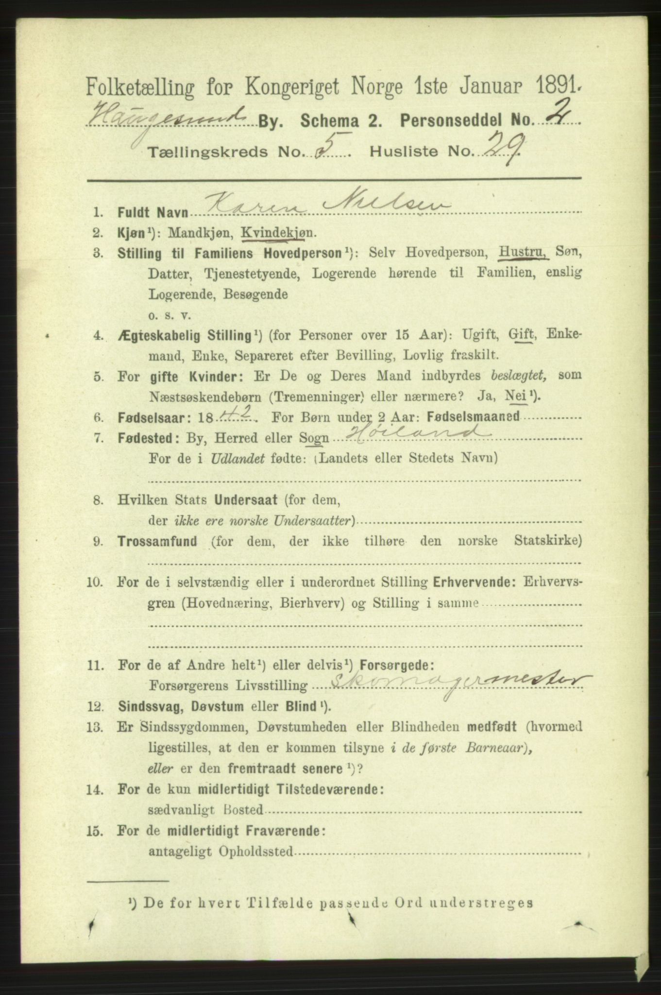 RA, 1891 census for 1106 Haugesund, 1891, p. 2520