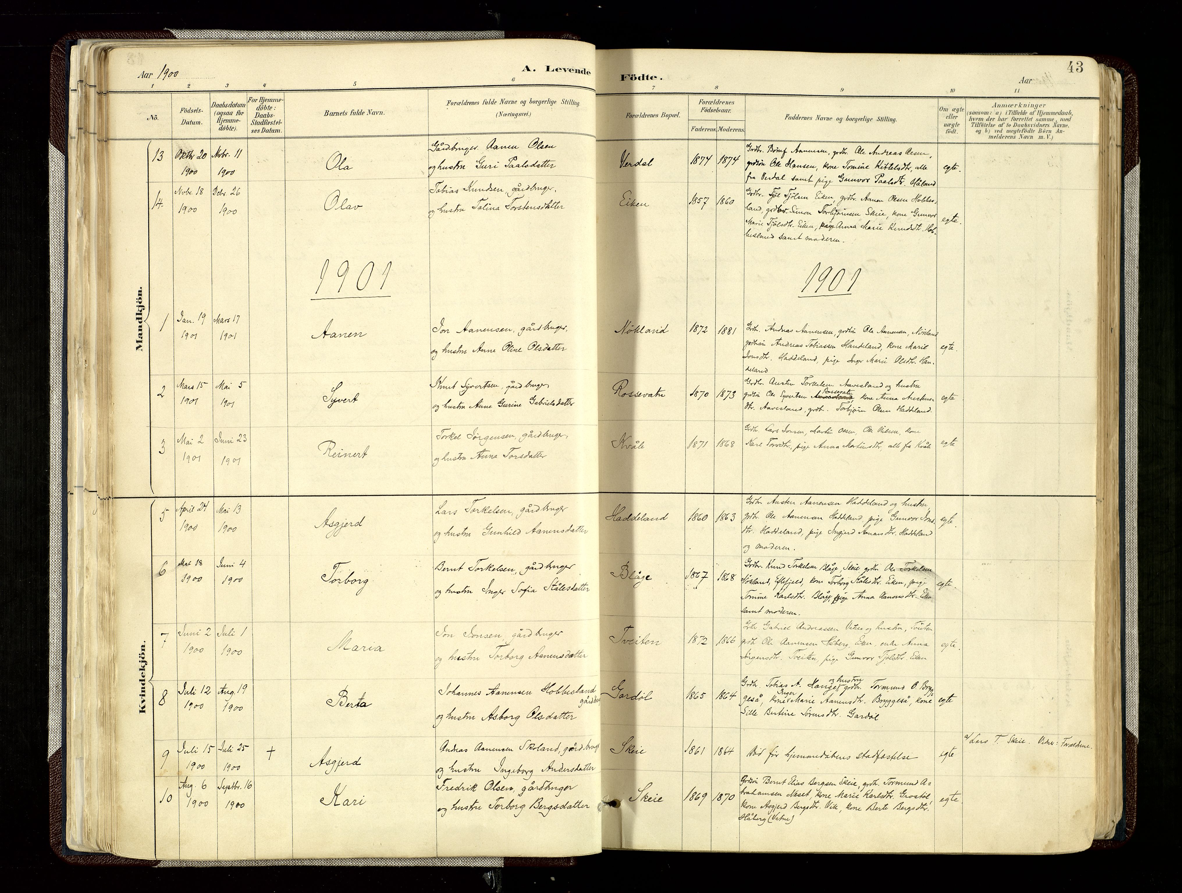 Hægebostad sokneprestkontor, SAK/1111-0024/F/Fa/Fab/L0004: Parish register (official) no. A 4, 1887-1929, p. 43