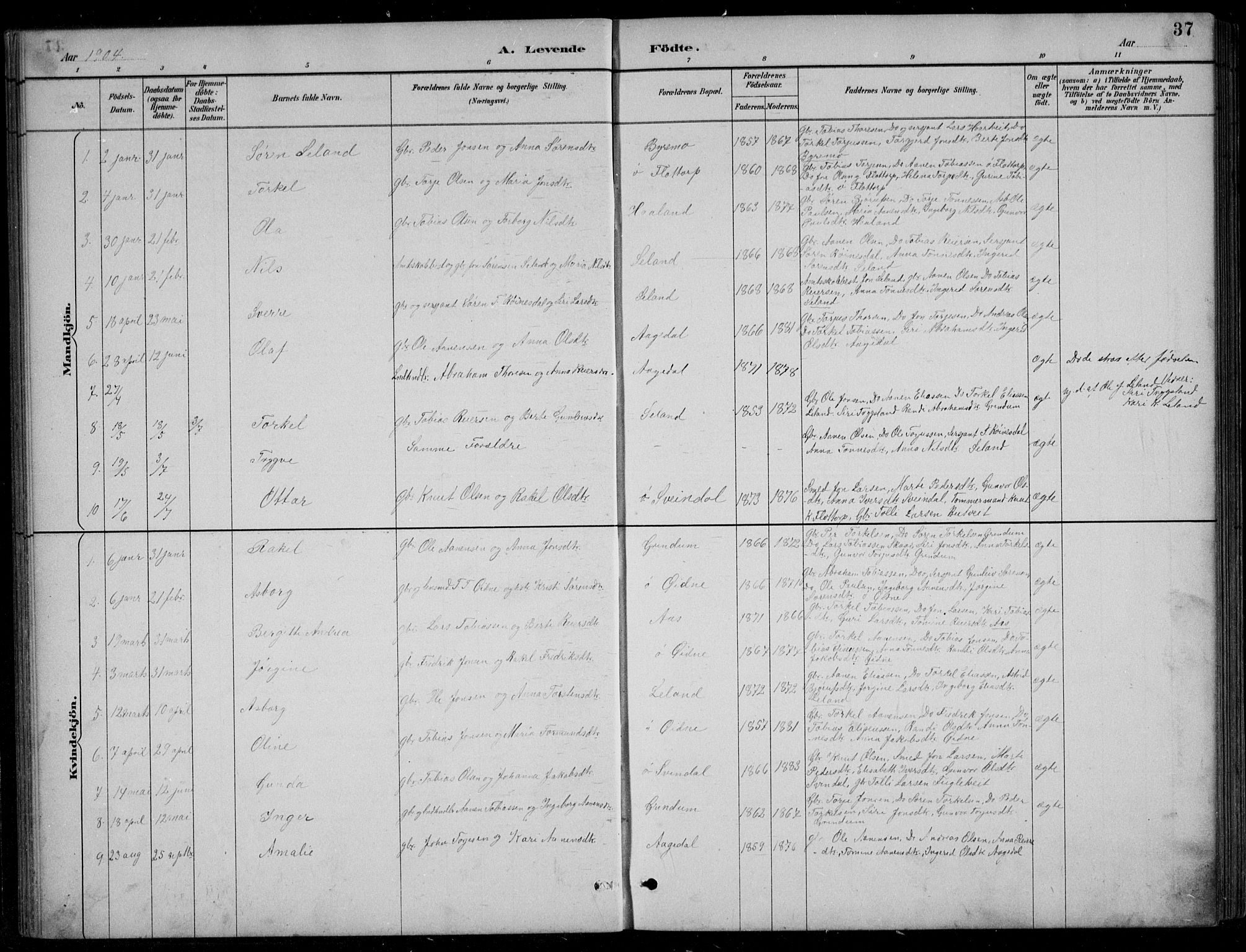Bjelland sokneprestkontor, SAK/1111-0005/F/Fb/Fbc/L0003: Parish register (copy) no. B 3, 1887-1924, p. 37