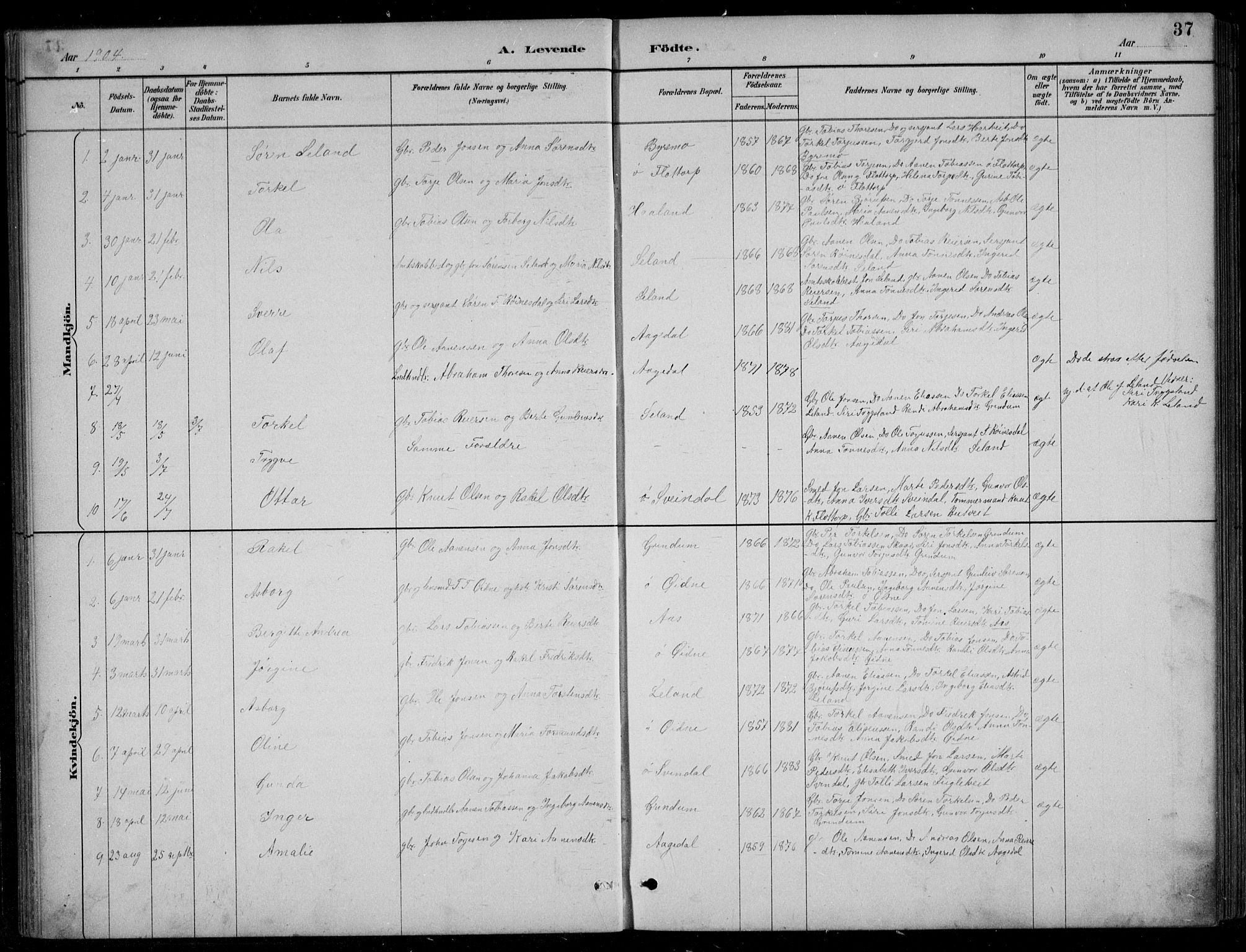 Bjelland sokneprestkontor, AV/SAK-1111-0005/F/Fb/Fbc/L0003: Parish register (copy) no. B 3, 1887-1924, p. 37