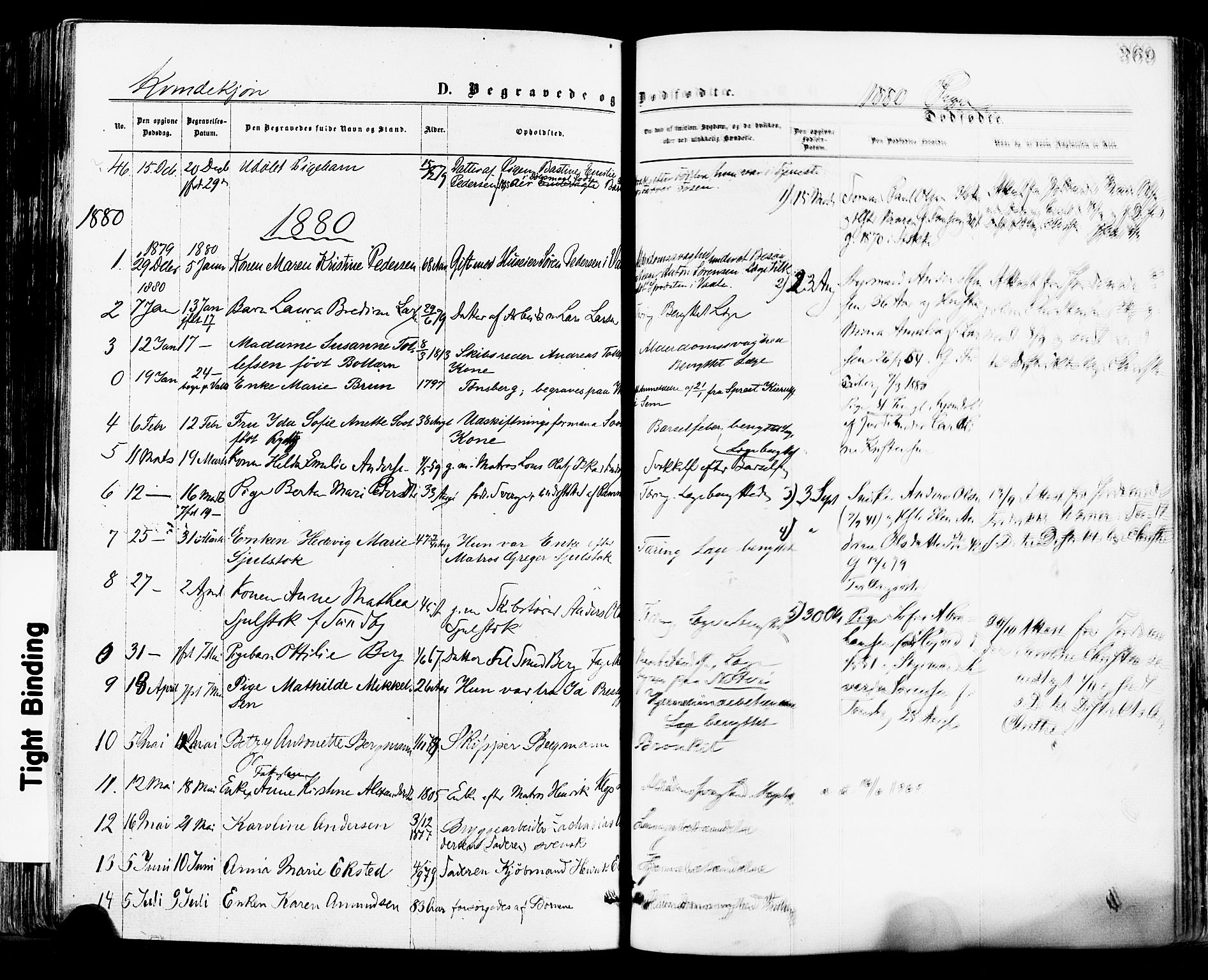 Tønsberg kirkebøker, SAKO/A-330/F/Fa/L0010: Parish register (official) no. I 10, 1874-1880, p. 369