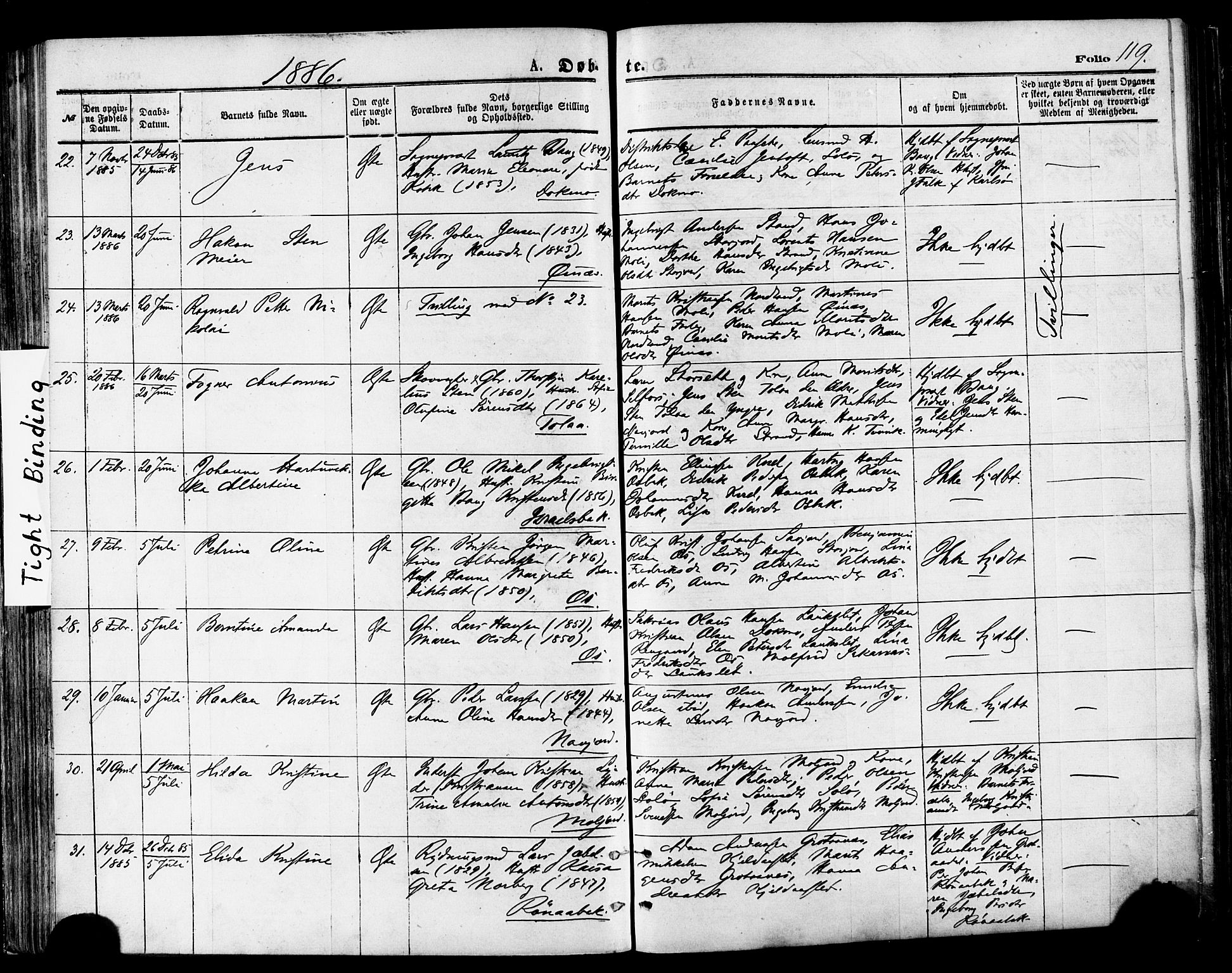 Ministerialprotokoller, klokkerbøker og fødselsregistre - Nordland, AV/SAT-A-1459/846/L0645: Parish register (official) no. 846A03, 1872-1886, p. 119