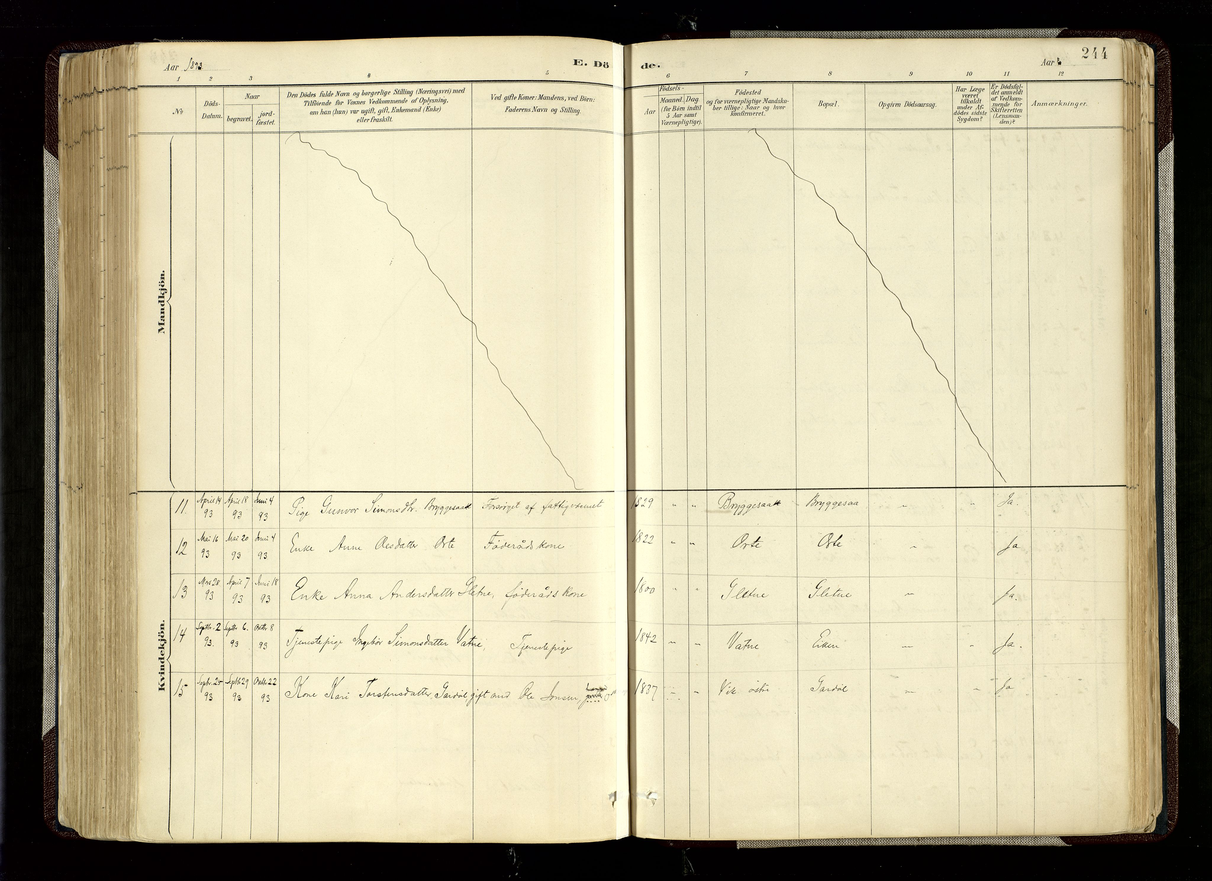 Hægebostad sokneprestkontor, AV/SAK-1111-0024/F/Fa/Fab/L0004: Parish register (official) no. A 4, 1887-1929, p. 244