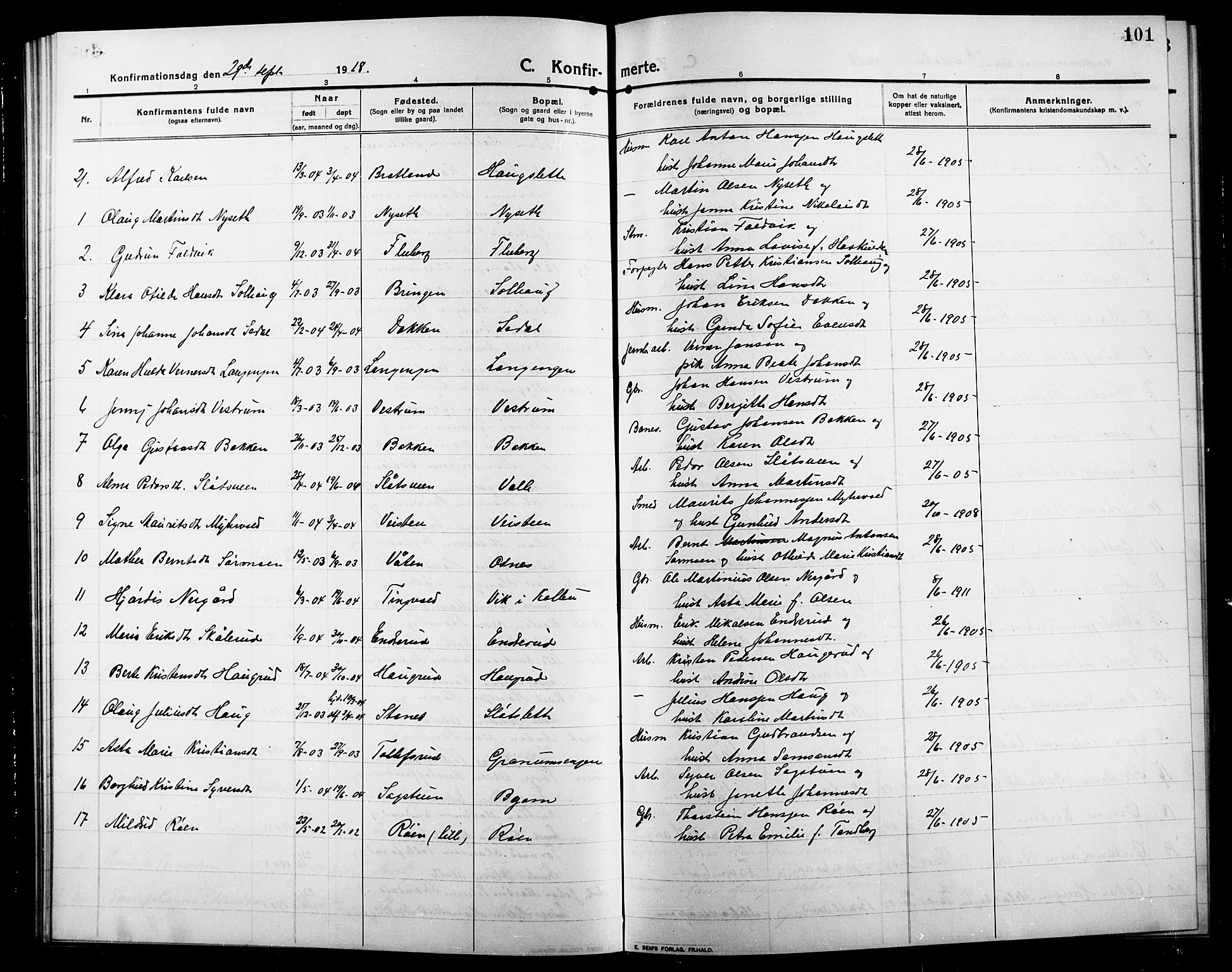 Søndre Land prestekontor, AV/SAH-PREST-122/L/L0006: Parish register (copy) no. 6, 1912-1925, p. 101