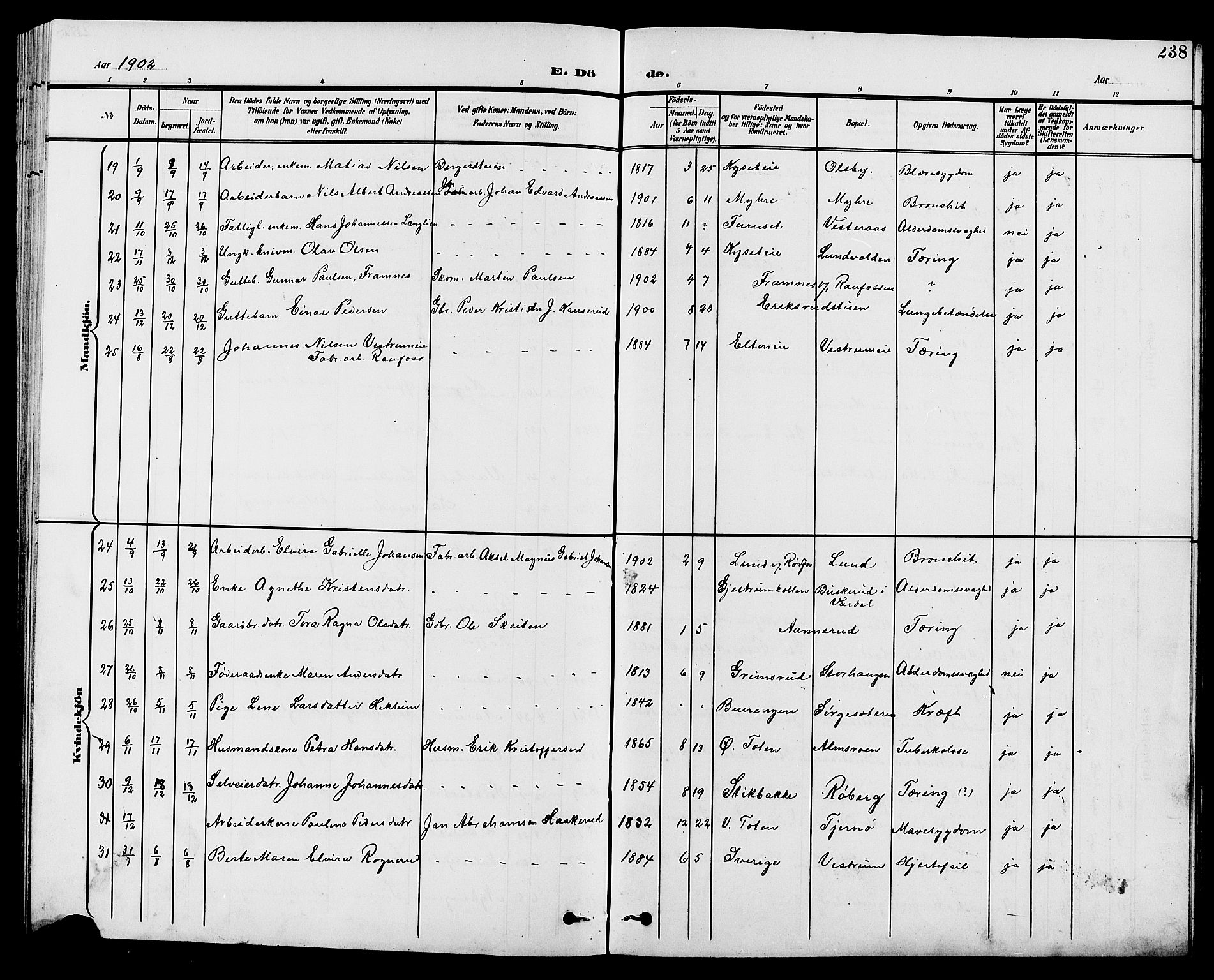 Vestre Toten prestekontor, AV/SAH-PREST-108/H/Ha/Hab/L0010: Parish register (copy) no. 10, 1900-1912, p. 238