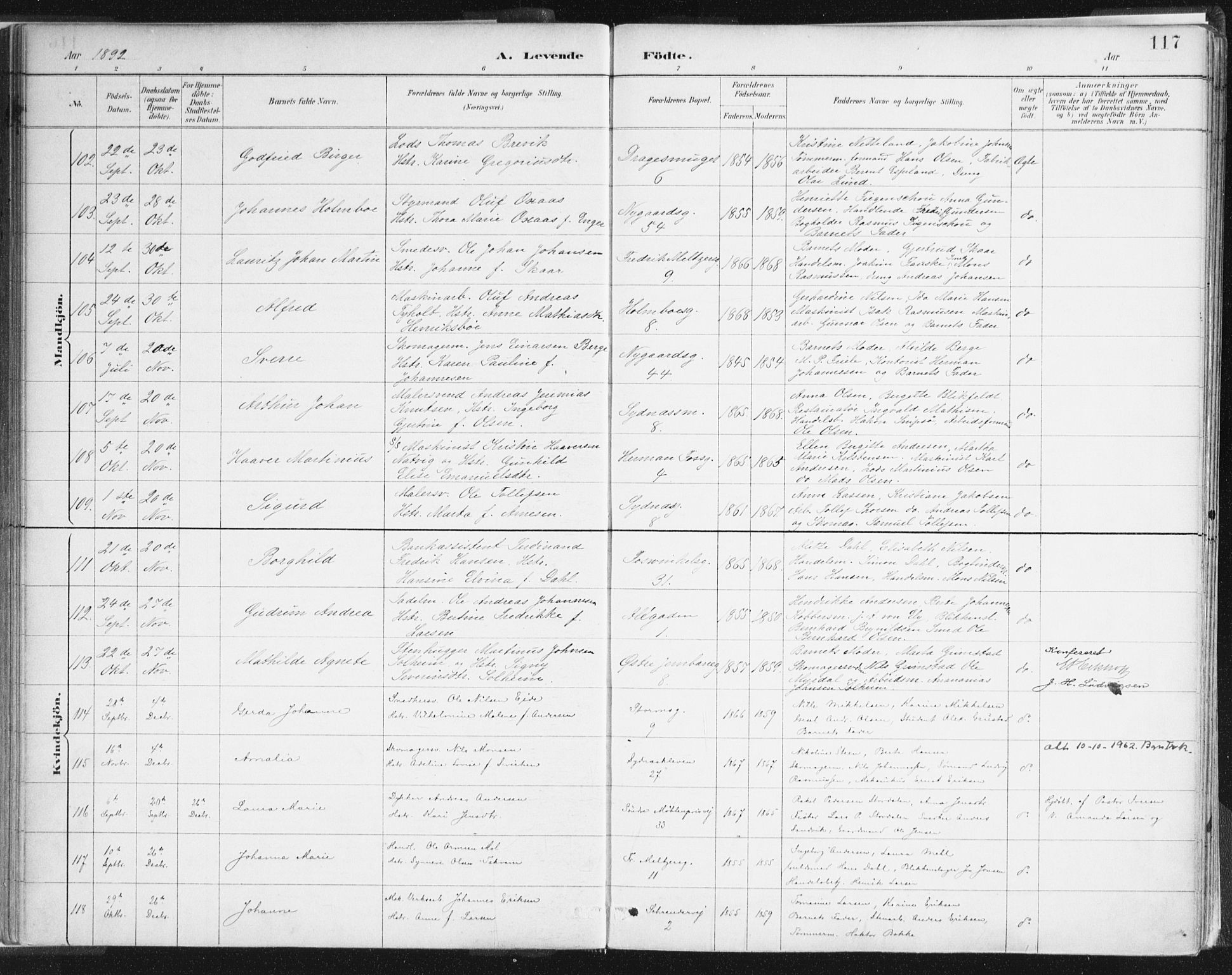 Johanneskirken sokneprestembete, AV/SAB-A-76001/H/Haa/L0001: Parish register (official) no. A 1, 1885-1900, p. 117