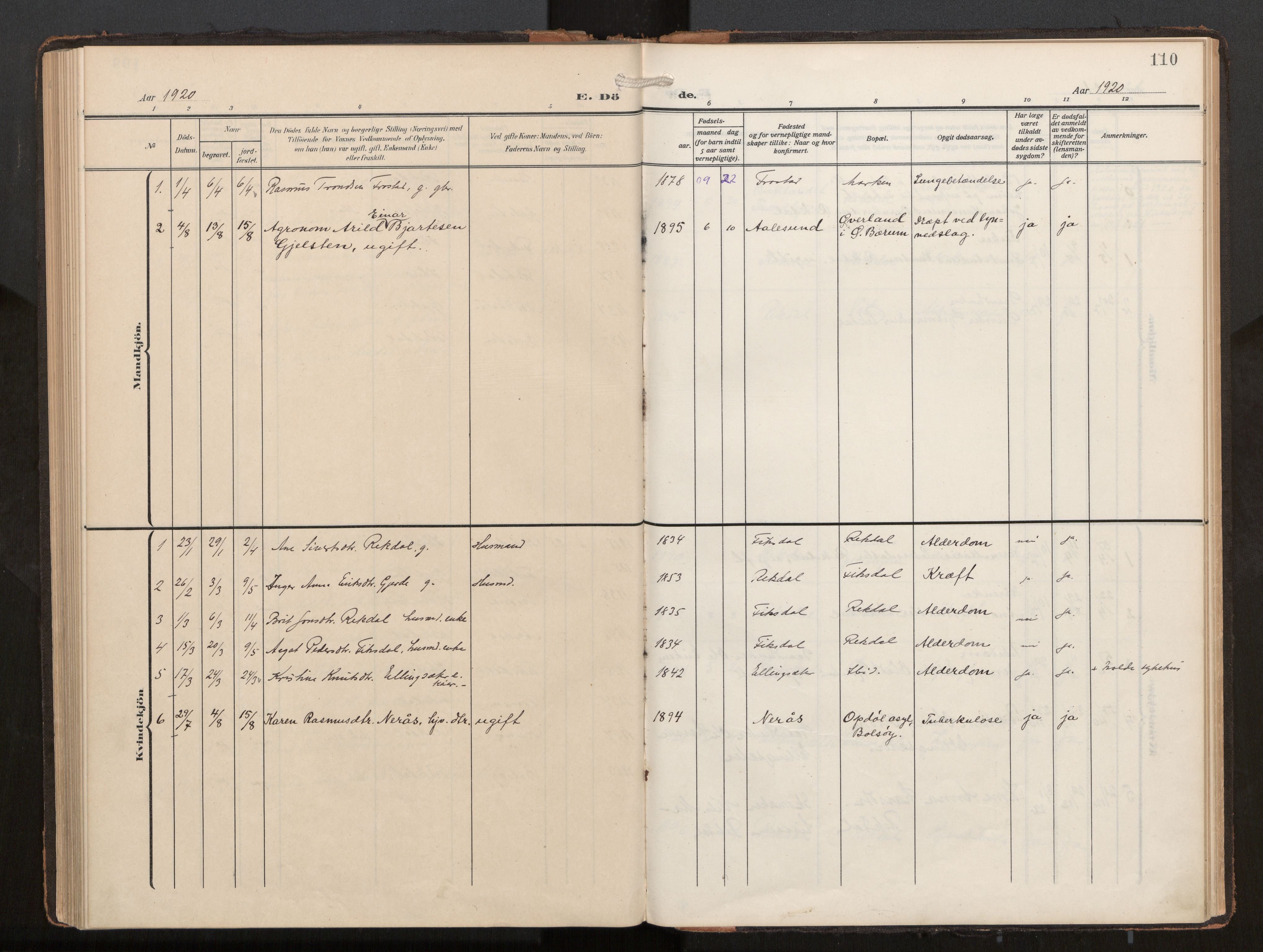 Ministerialprotokoller, klokkerbøker og fødselsregistre - Møre og Romsdal, AV/SAT-A-1454/540/L0540b: Parish register (official) no. 540A03, 1909-1932, p. 110