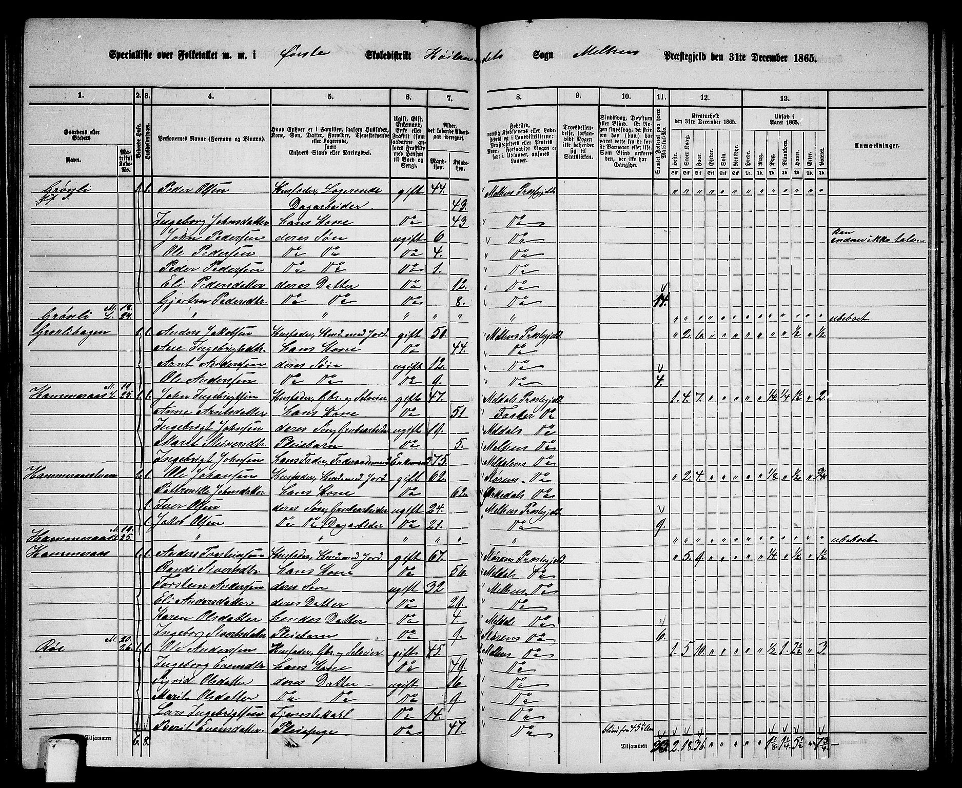 RA, 1865 census for Melhus, 1865, p. 172