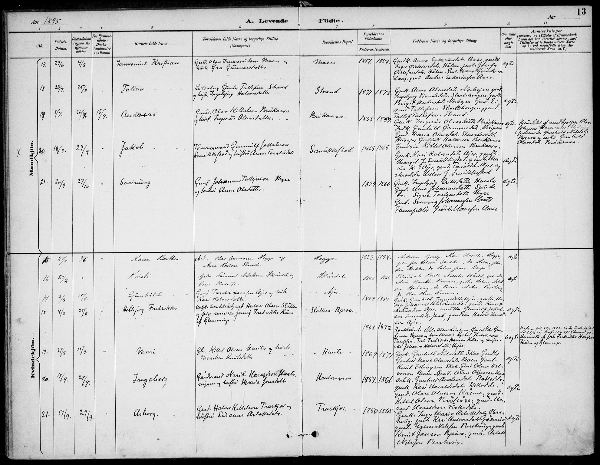 Lunde kirkebøker, SAKO/A-282/F/Fa/L0003: Parish register (official) no. I 3, 1893-1902, p. 13