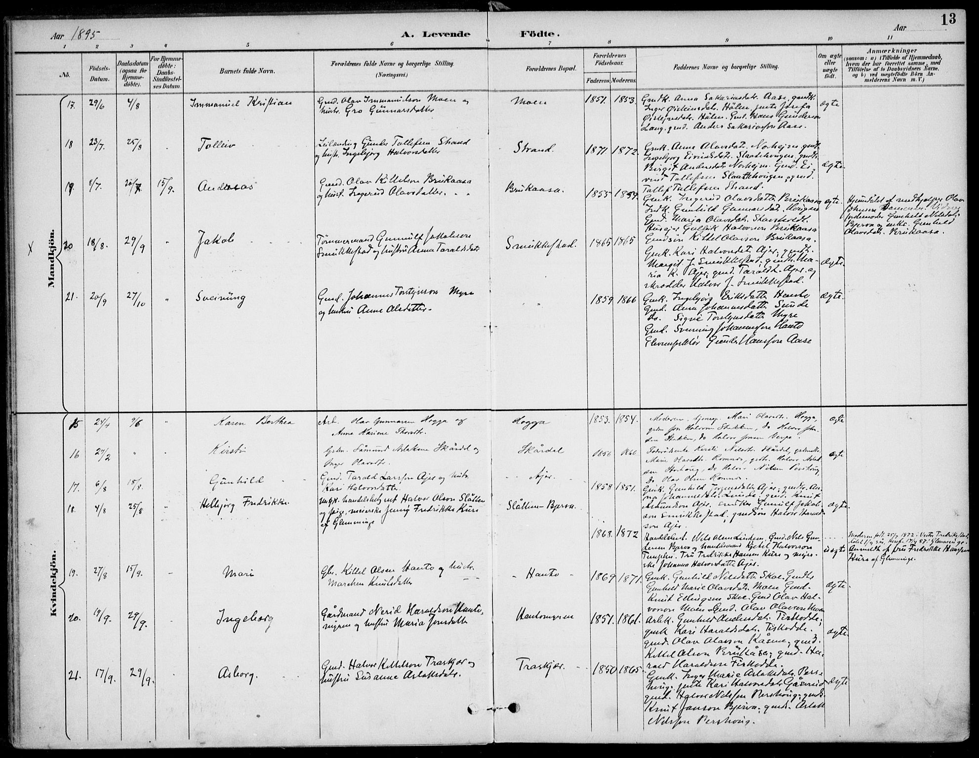 Lunde kirkebøker, AV/SAKO-A-282/F/Fa/L0003: Parish register (official) no. I 3, 1893-1902, p. 13