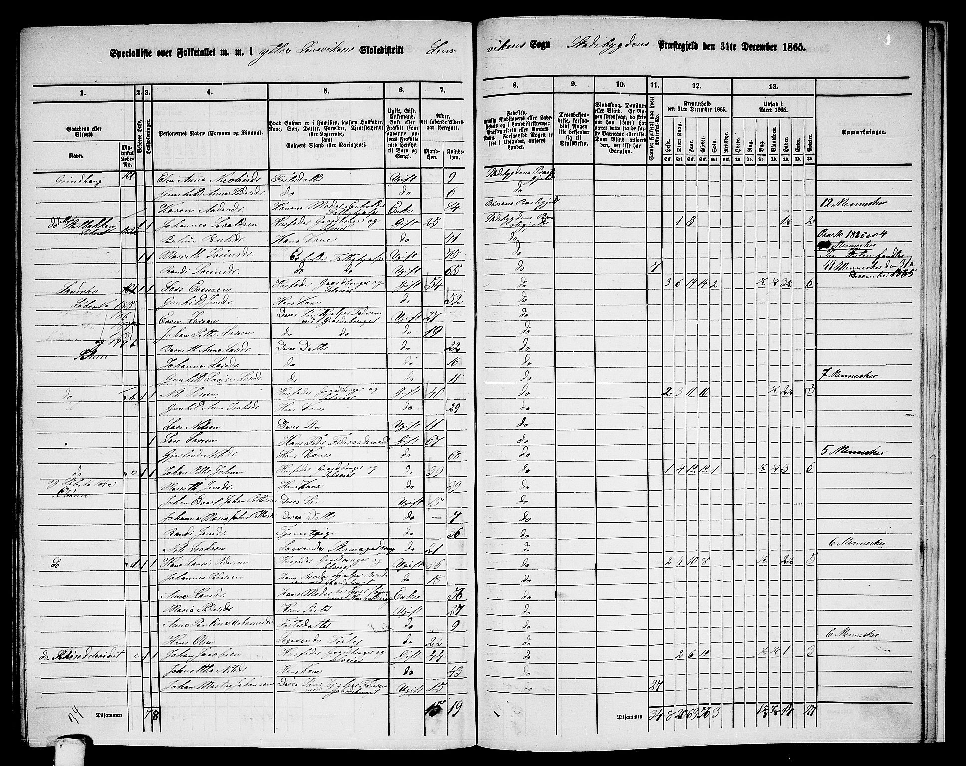 RA, 1865 census for Stadsbygd, 1865, p. 217