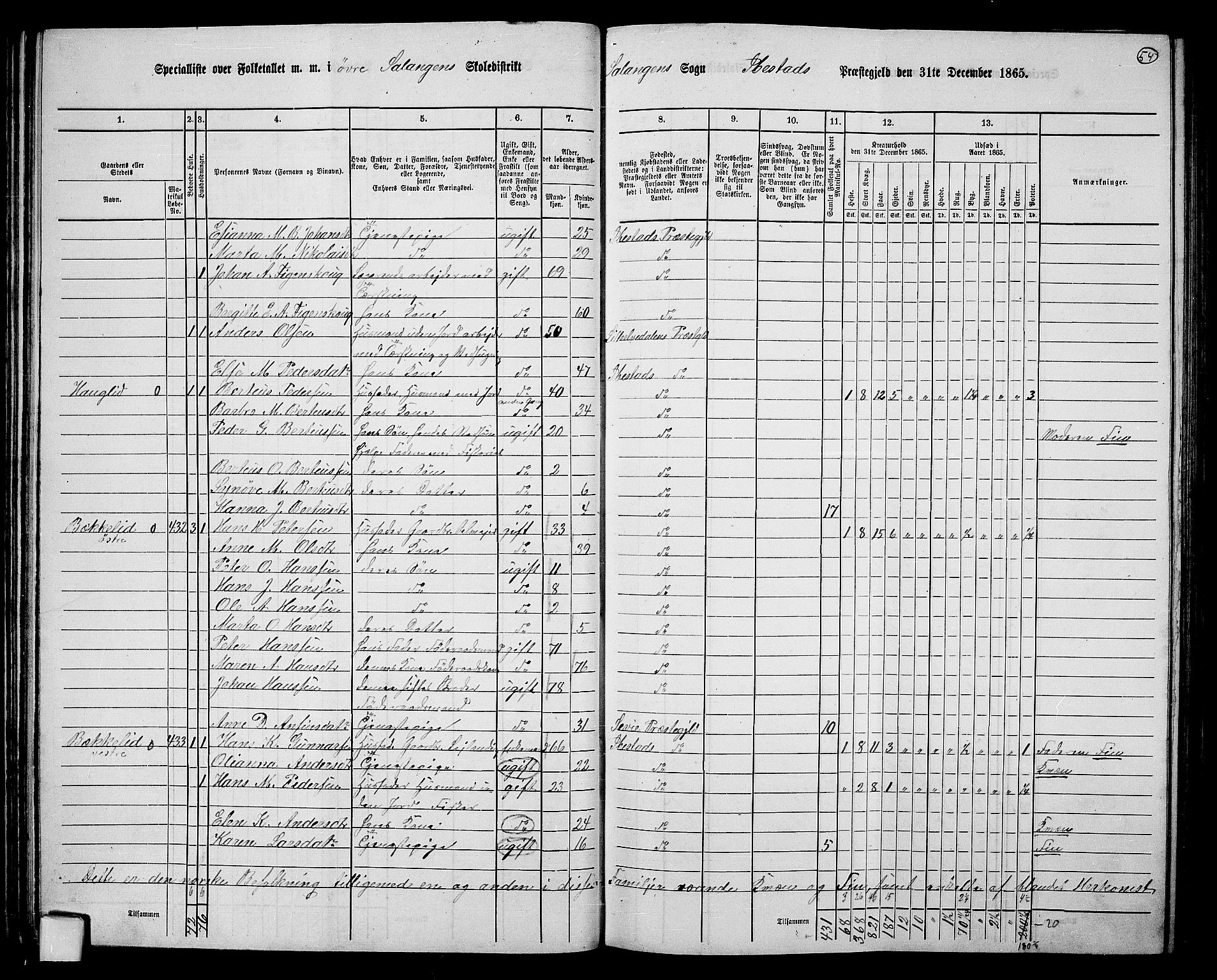 RA, 1865 census for Ibestad, 1865, p. 53