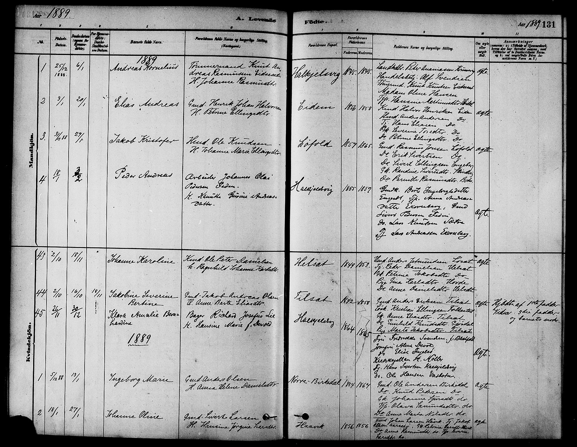 Ministerialprotokoller, klokkerbøker og fødselsregistre - Møre og Romsdal, AV/SAT-A-1454/511/L0141: Parish register (official) no. 511A08, 1878-1890, p. 131