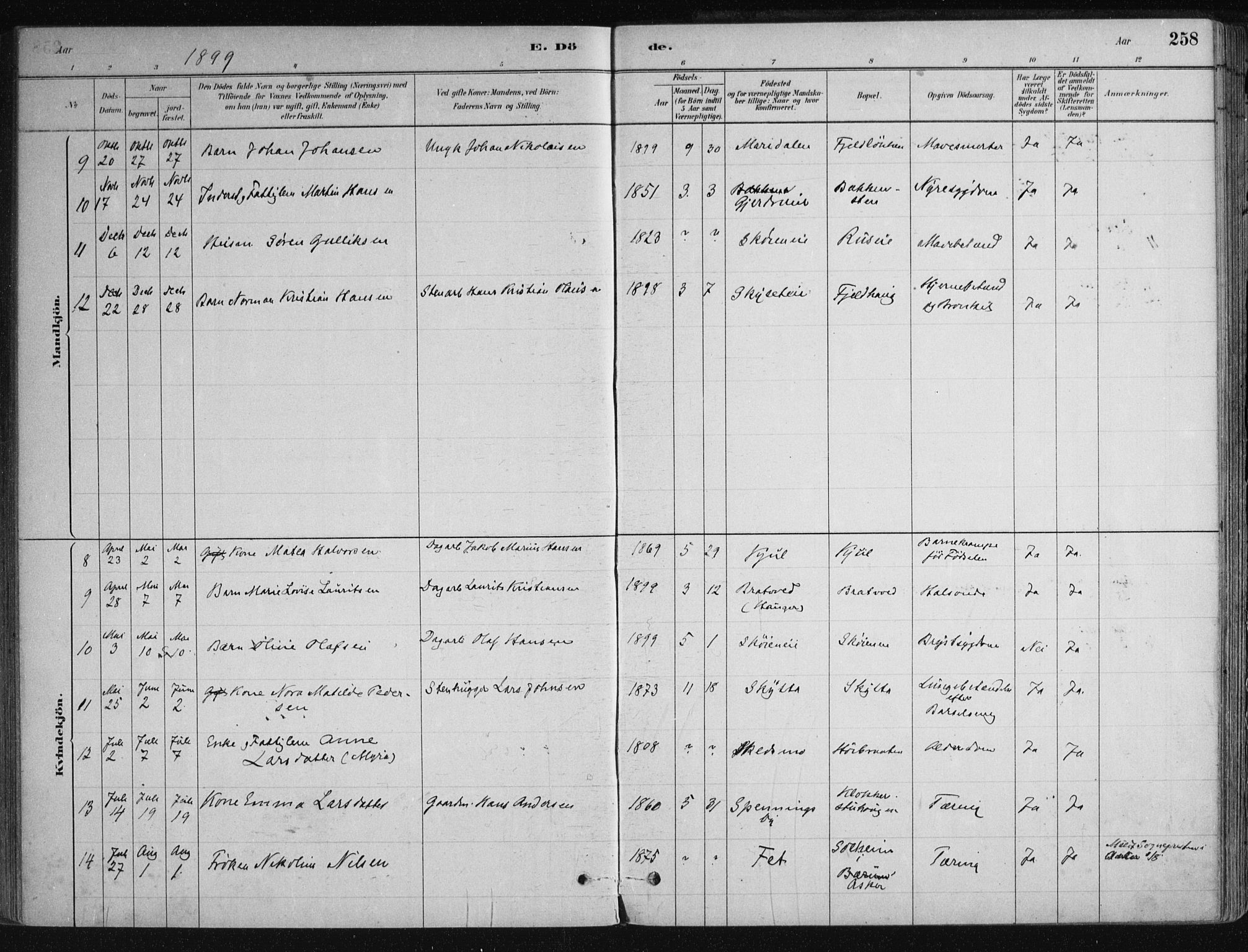 Nittedal prestekontor Kirkebøker, SAO/A-10365a/F/Fa/L0007: Parish register (official) no. I 7, 1879-1901, p. 258