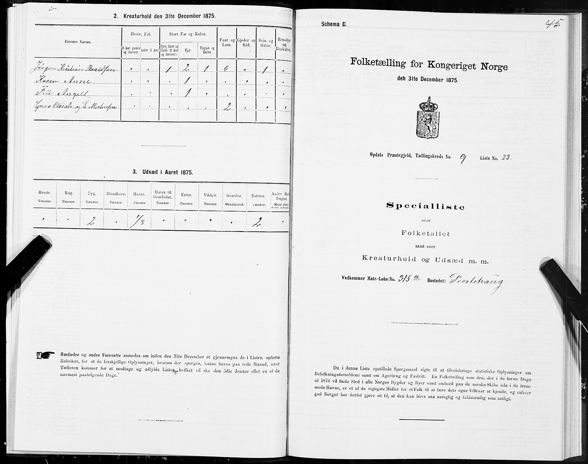 SAT, 1875 census for 1634P Oppdal, 1875, p. 6045