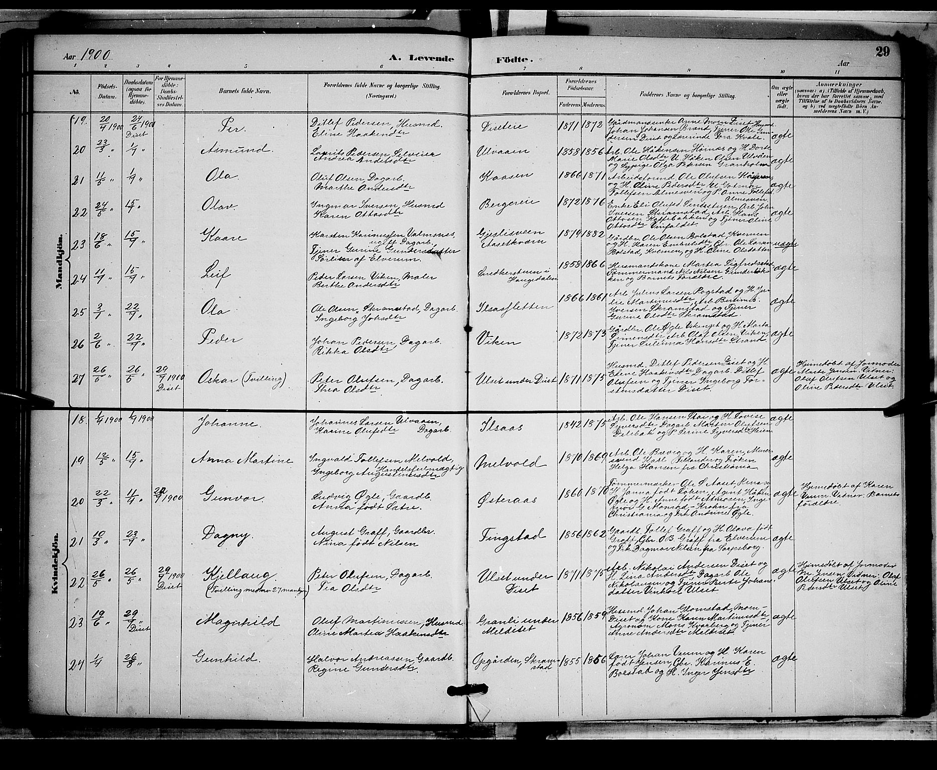 Åmot prestekontor, Hedmark, AV/SAH-PREST-056/H/Ha/Hab/L0002: Parish register (copy) no. 2, 1896-1906, p. 29