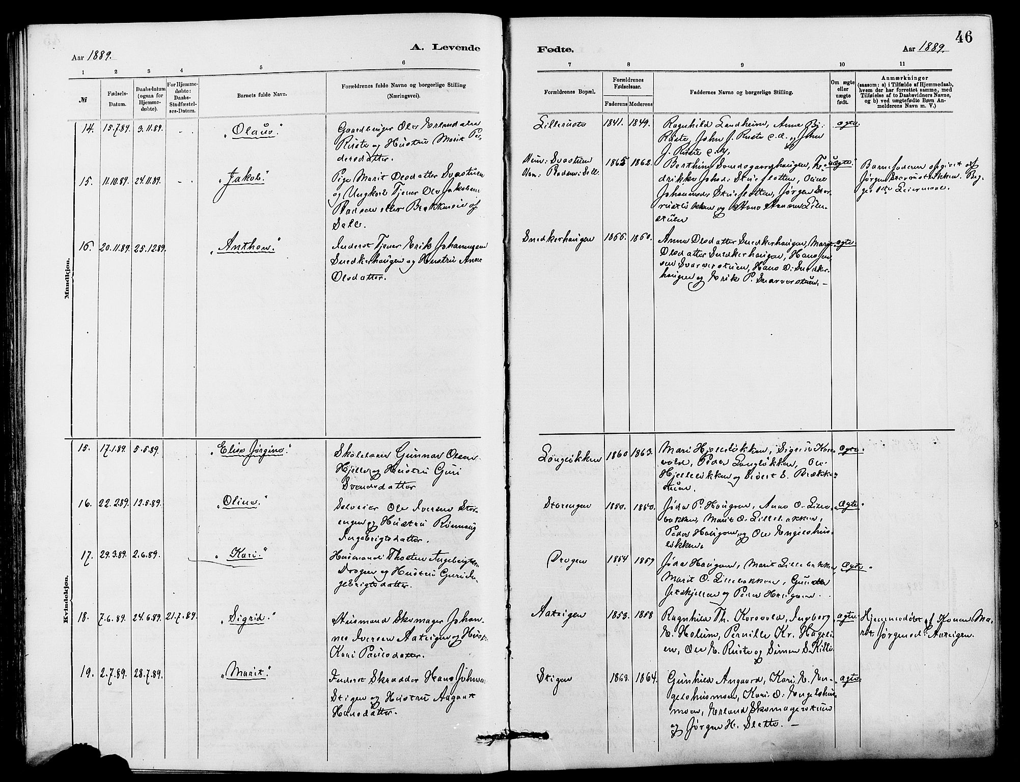 Dovre prestekontor, AV/SAH-PREST-066/H/Ha/Hab/L0002: Parish register (copy) no. 2, 1881-1907, p. 46