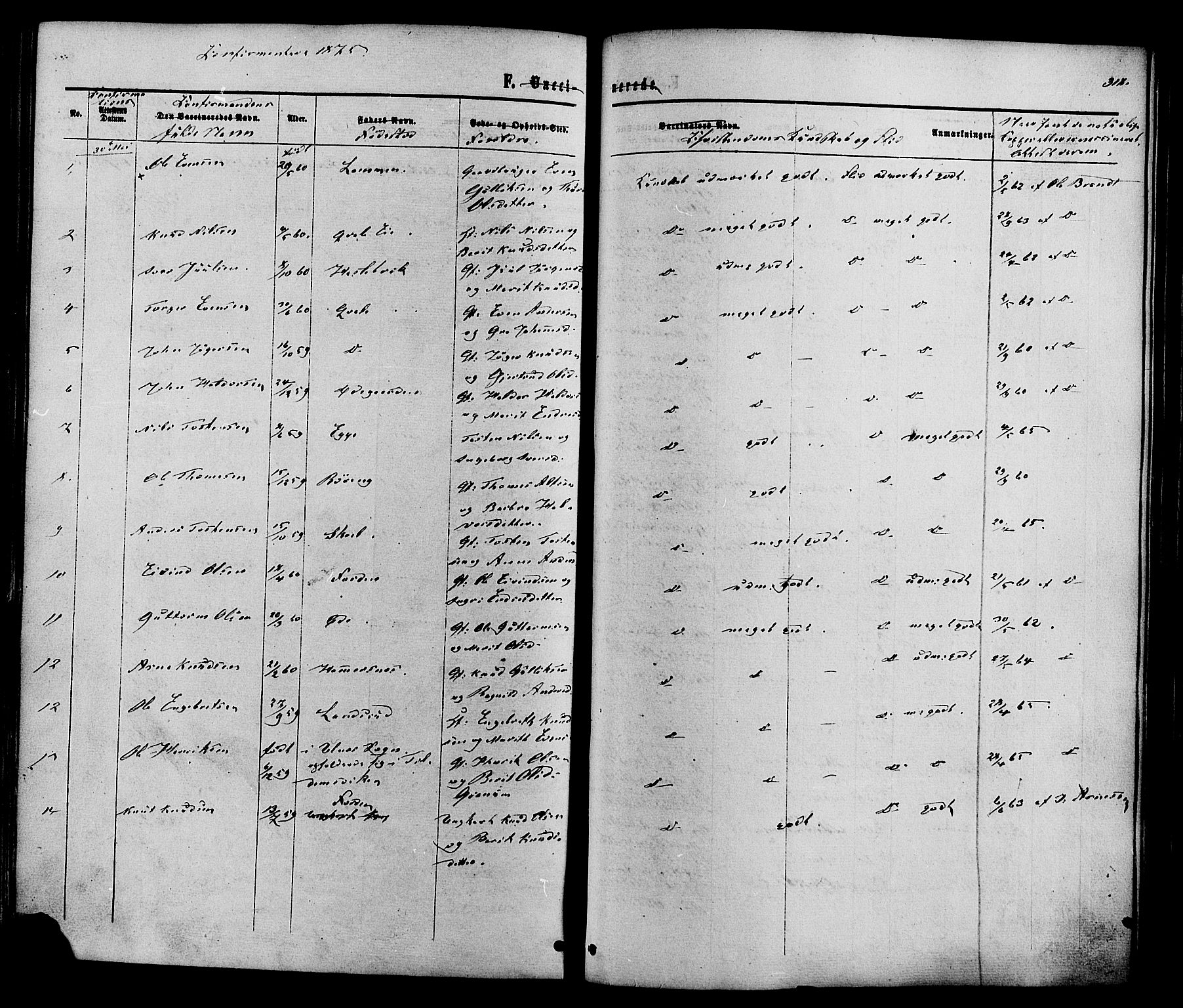 Vestre Slidre prestekontor, SAH/PREST-136/H/Ha/Haa/L0003: Parish register (official) no. 3, 1865-1880, p. 318