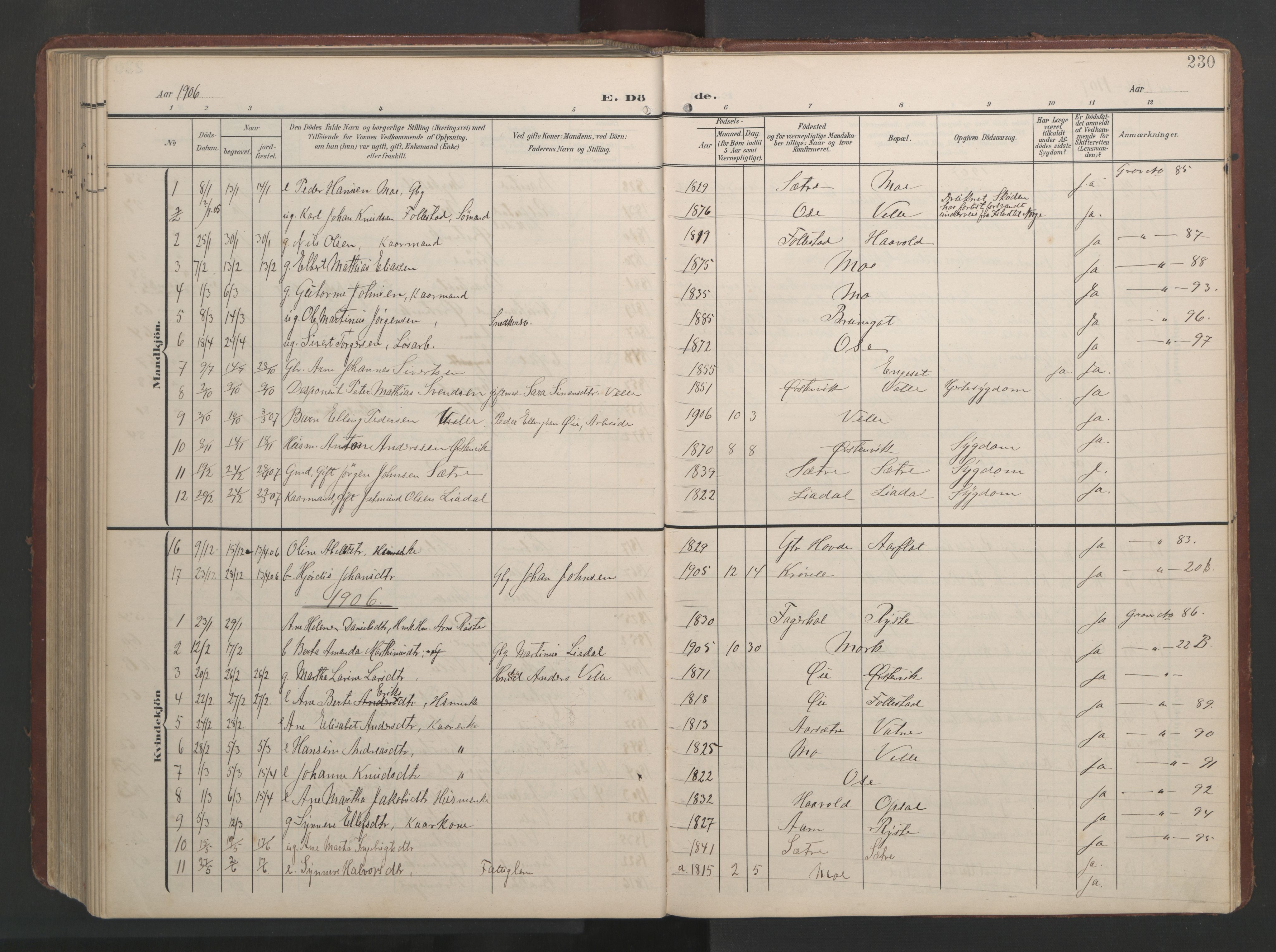 Ministerialprotokoller, klokkerbøker og fødselsregistre - Møre og Romsdal, AV/SAT-A-1454/513/L0190: Parish register (copy) no. 513C04, 1904-1926, p. 230